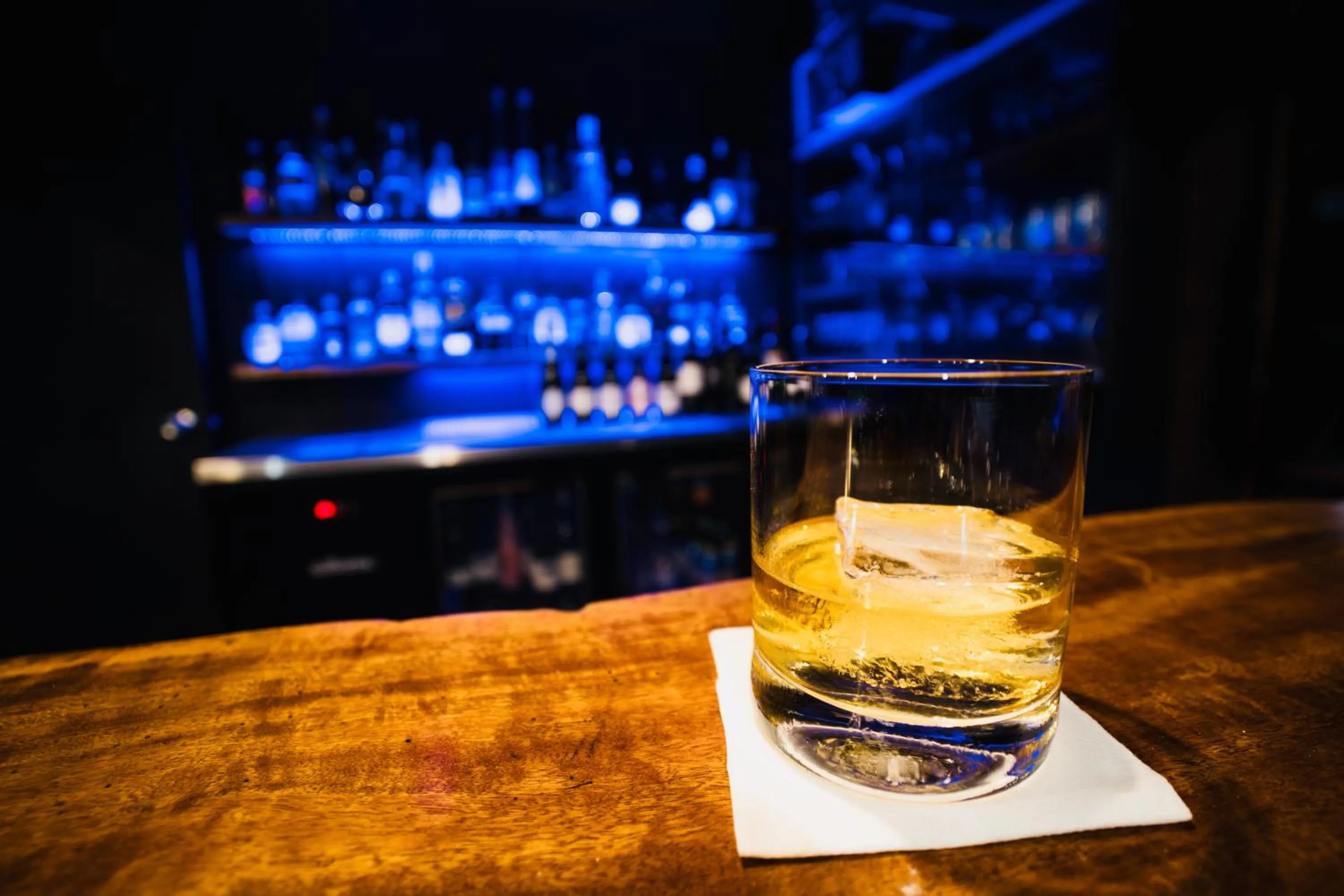 Lounge or bar in Daintree Wilderness Lodge