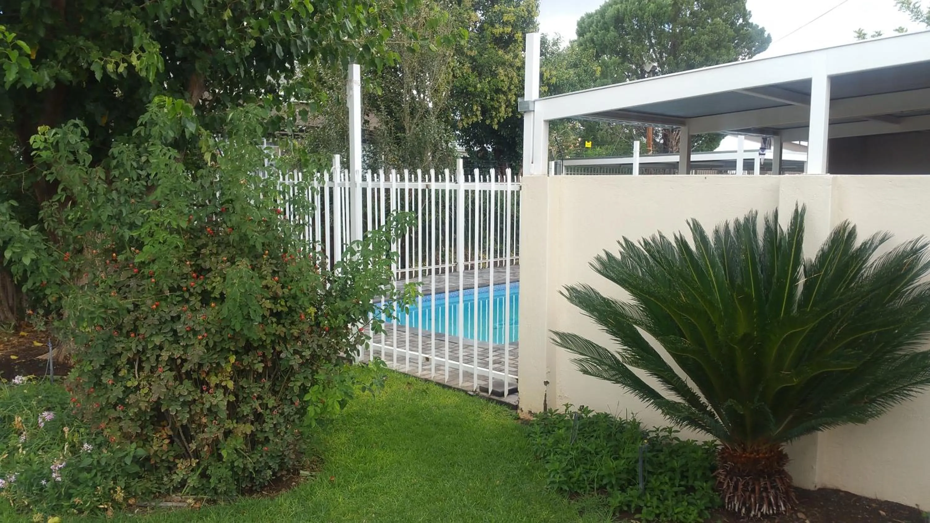 Swimming pool in Innexcellence B&B