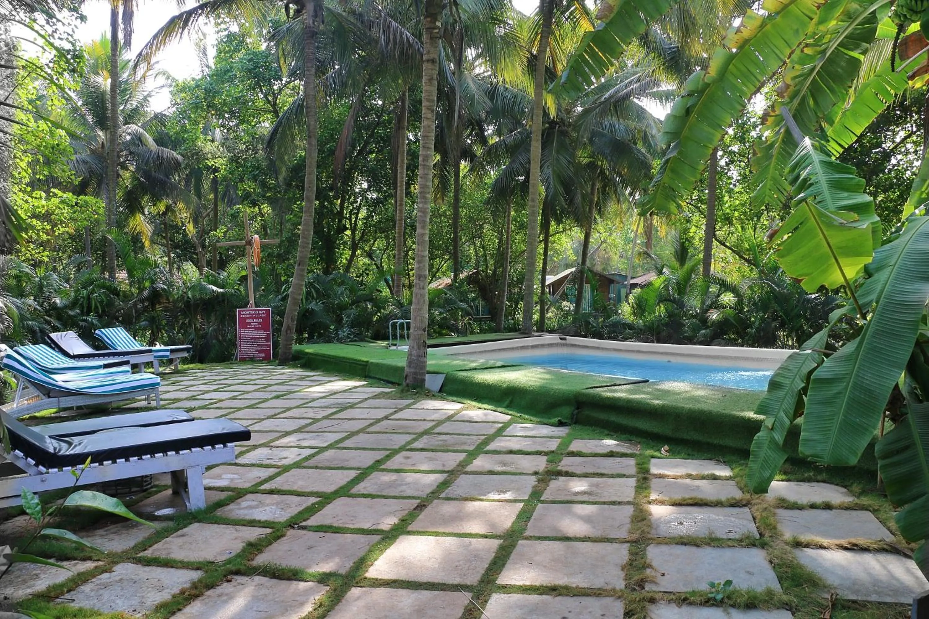 Swimming pool in Montego Bay Beach Village - Morjim