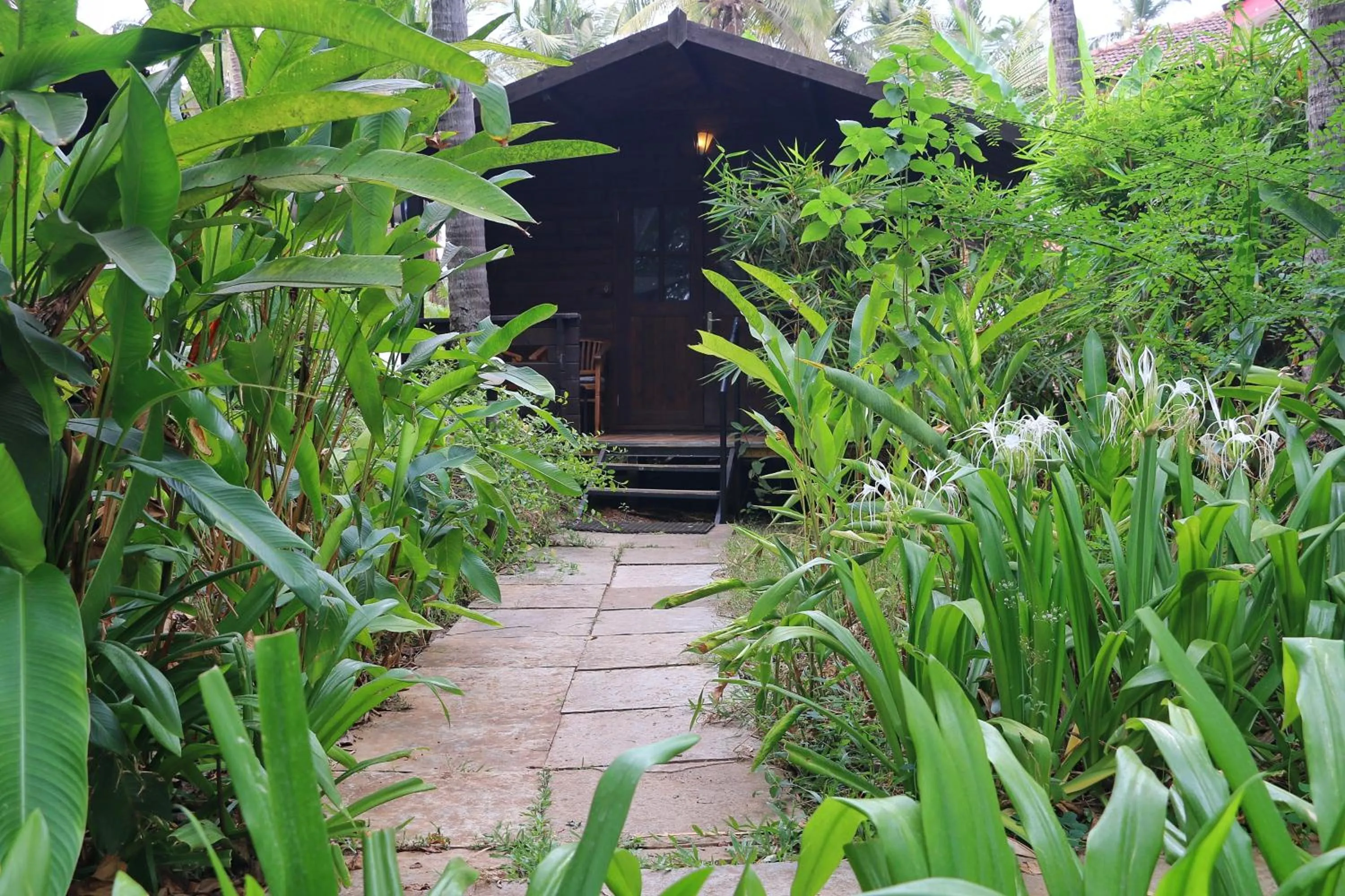 Montego Bay Beach Village - Morjim