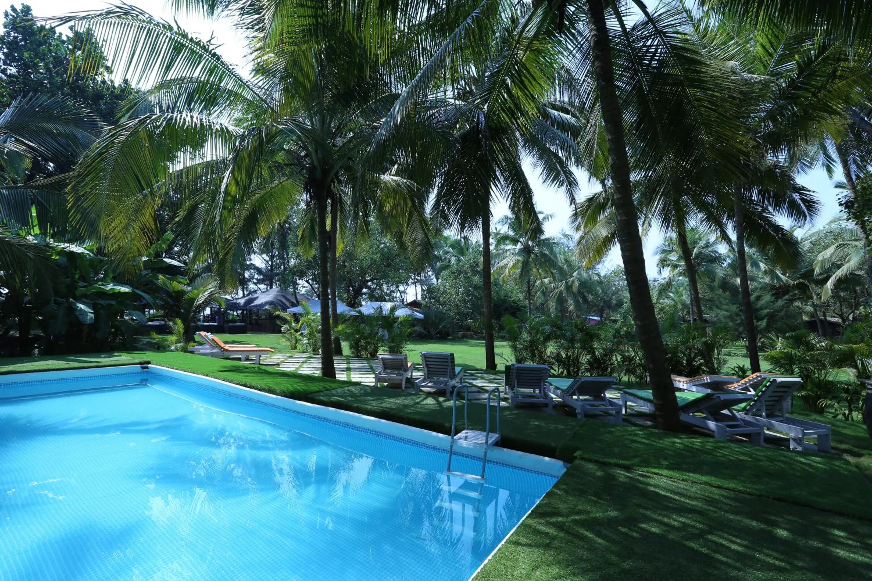 Activities in Montego Bay Beach Village - Morjim