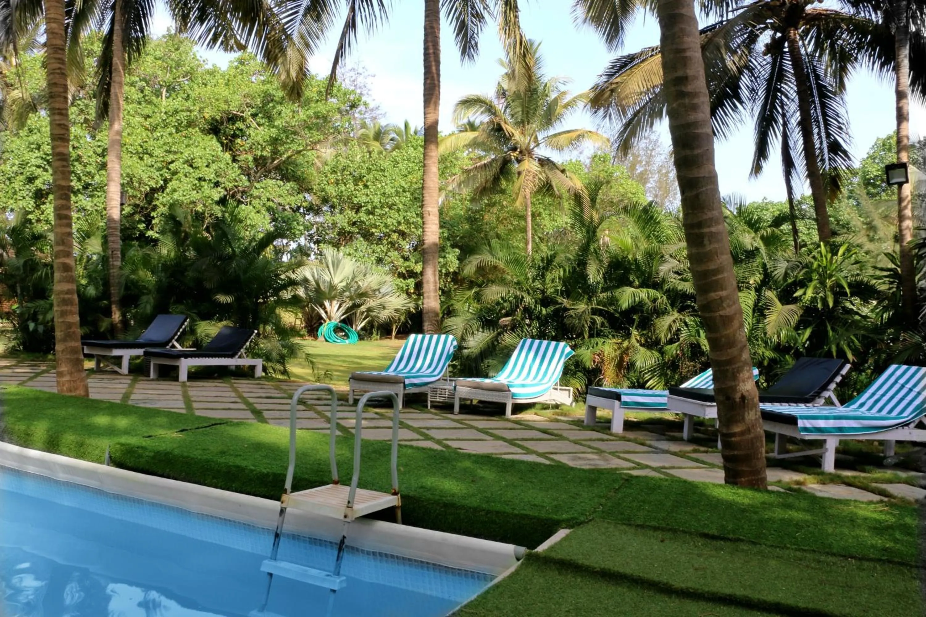 Swimming pool in Montego Bay Beach Village - Morjim