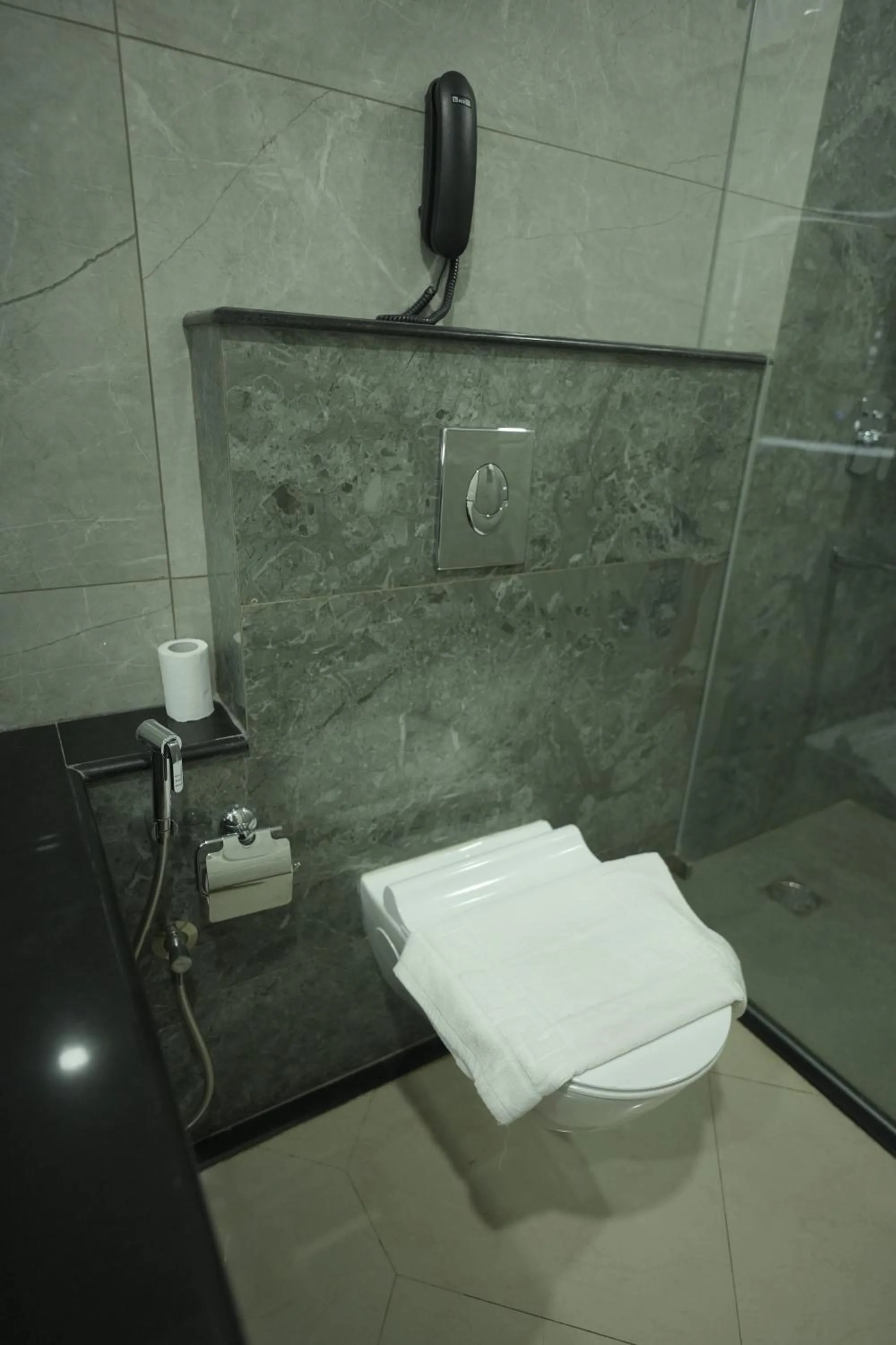 Toilet in Maurya Rajadhani