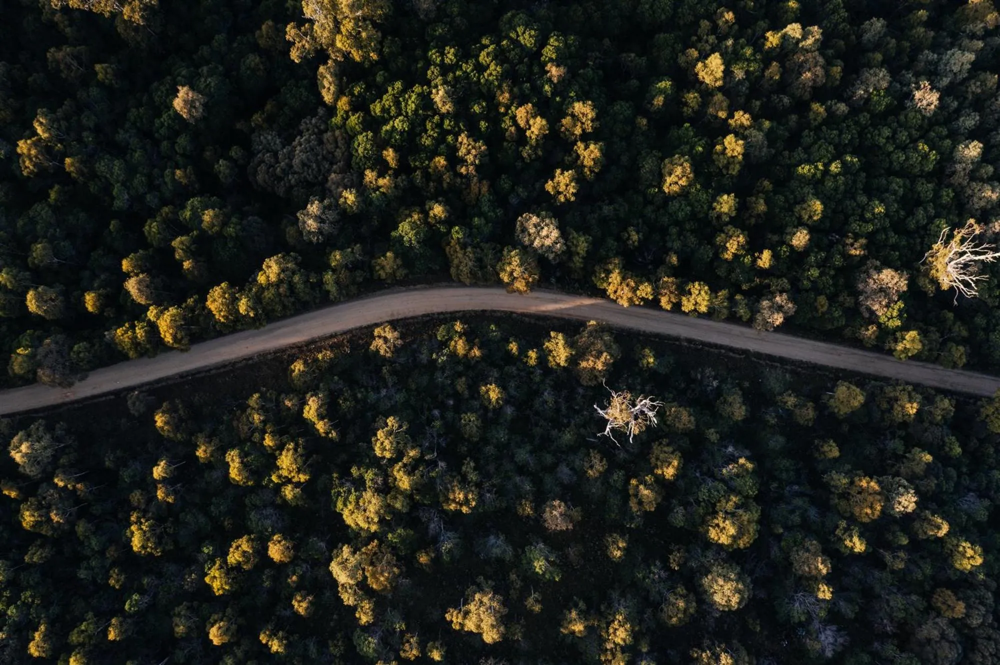Bird's eye view in Freycinet Resort
