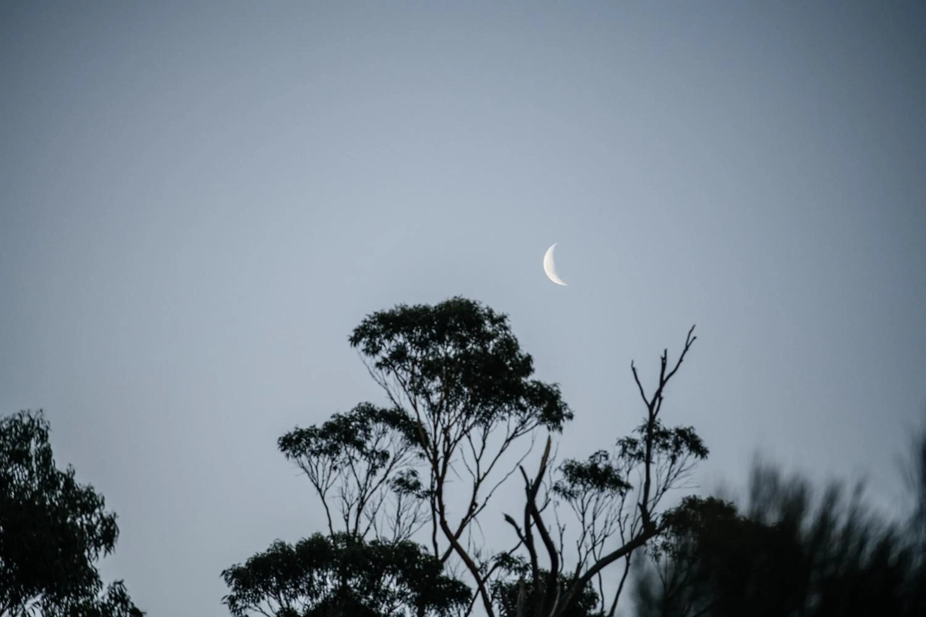 Natural landscape in Freycinet Resort