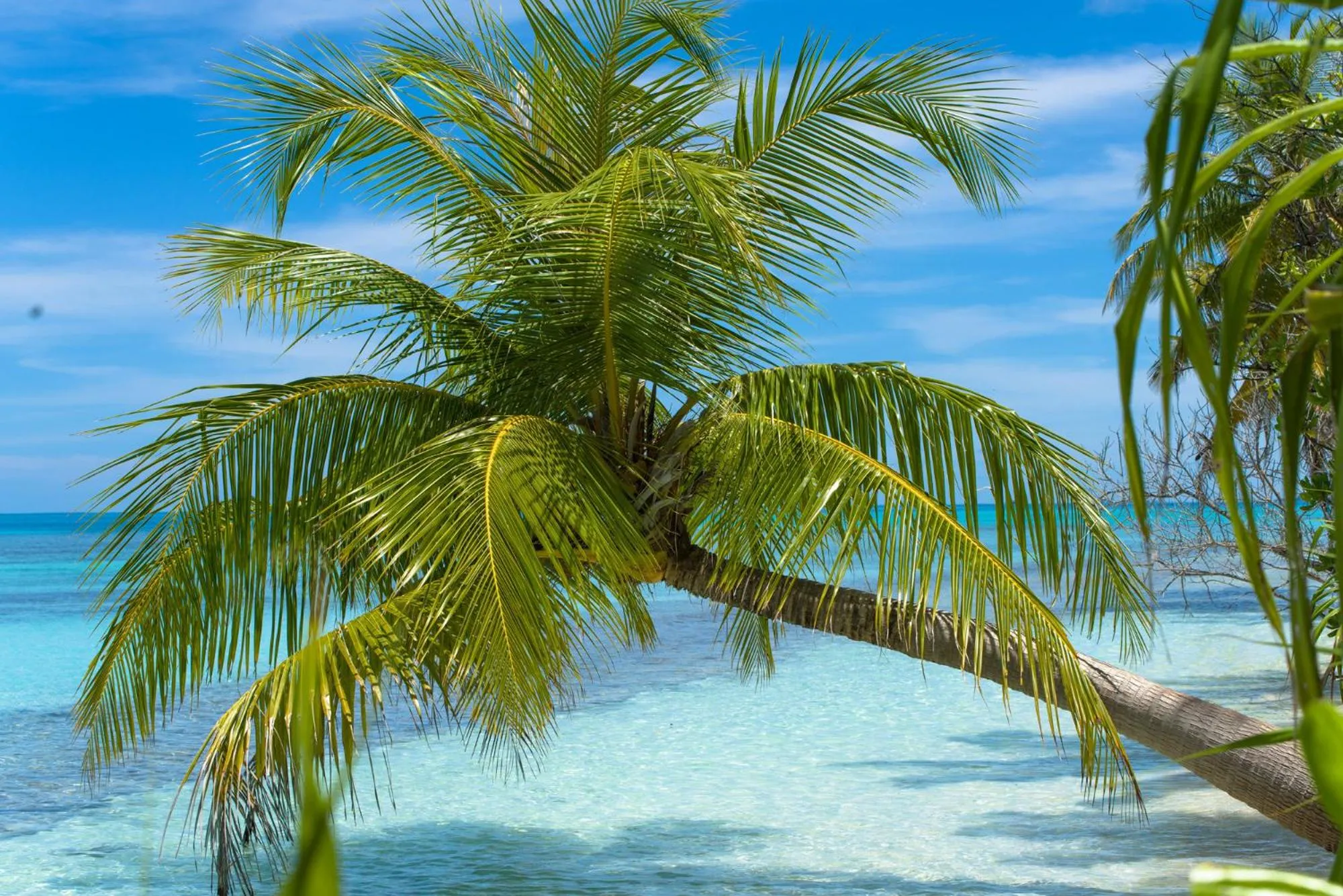 Beach in Dhiguveli Maldives