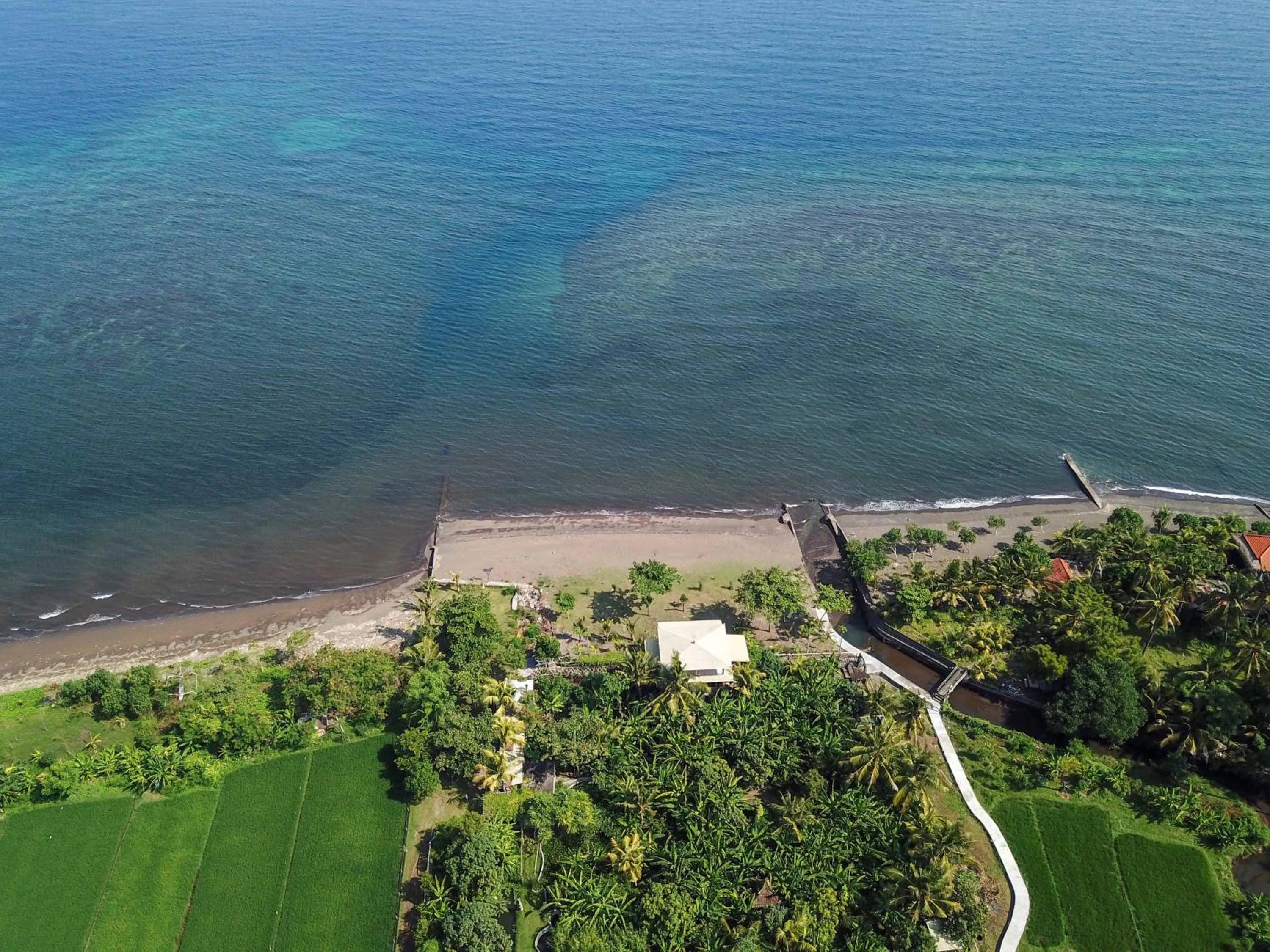 Natural landscape in Brits Resort Lovina