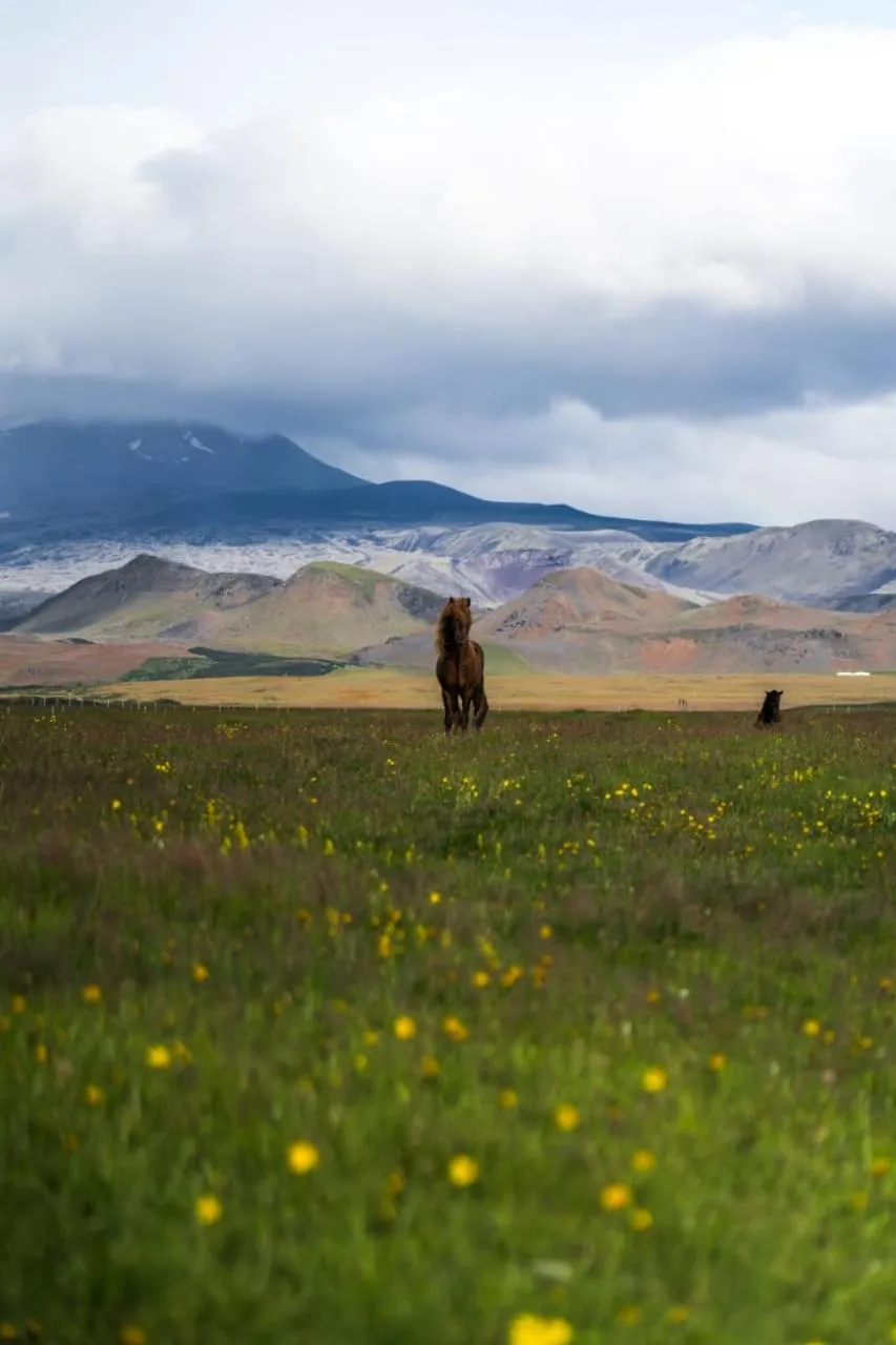 Natural landscape in Hotel Leirubakki