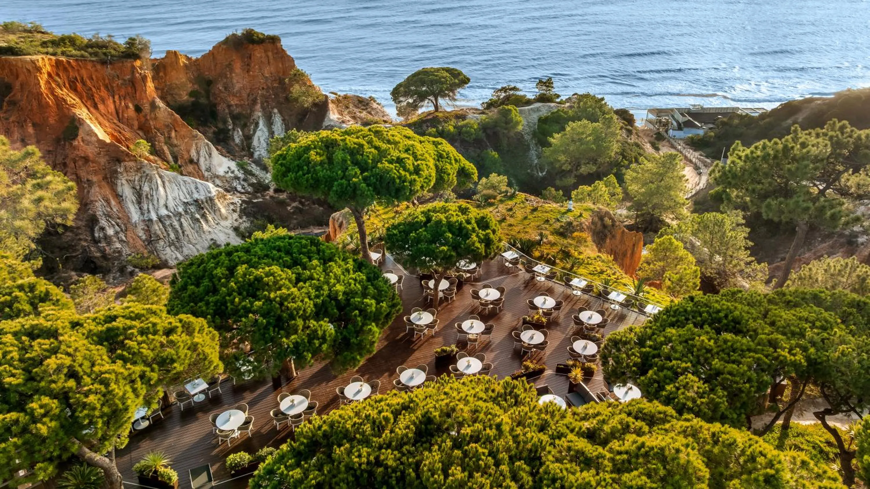 View (from property/room) in Pine Cliffs Gardens