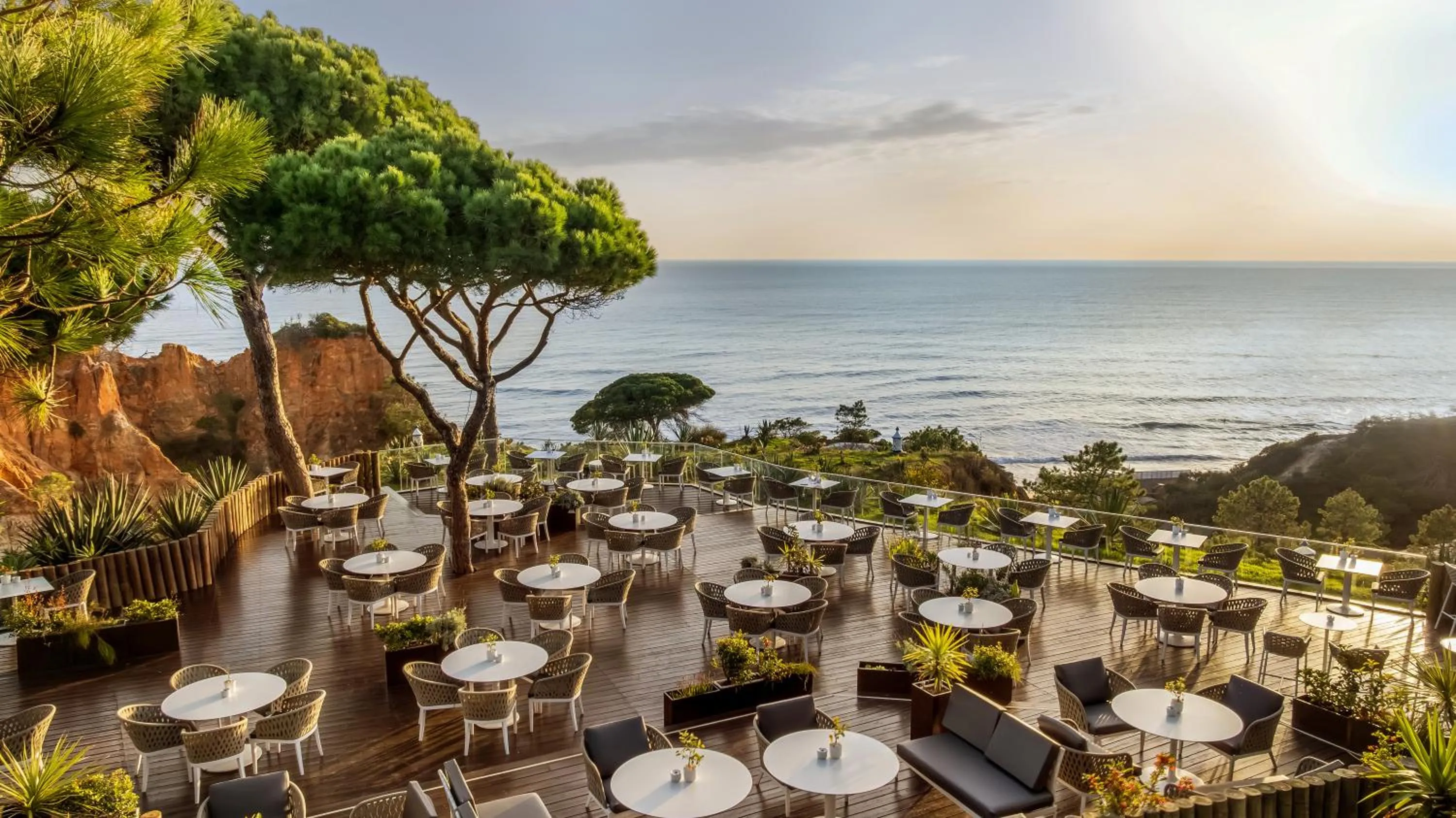 View (from property/room) in Pine Cliffs Gardens