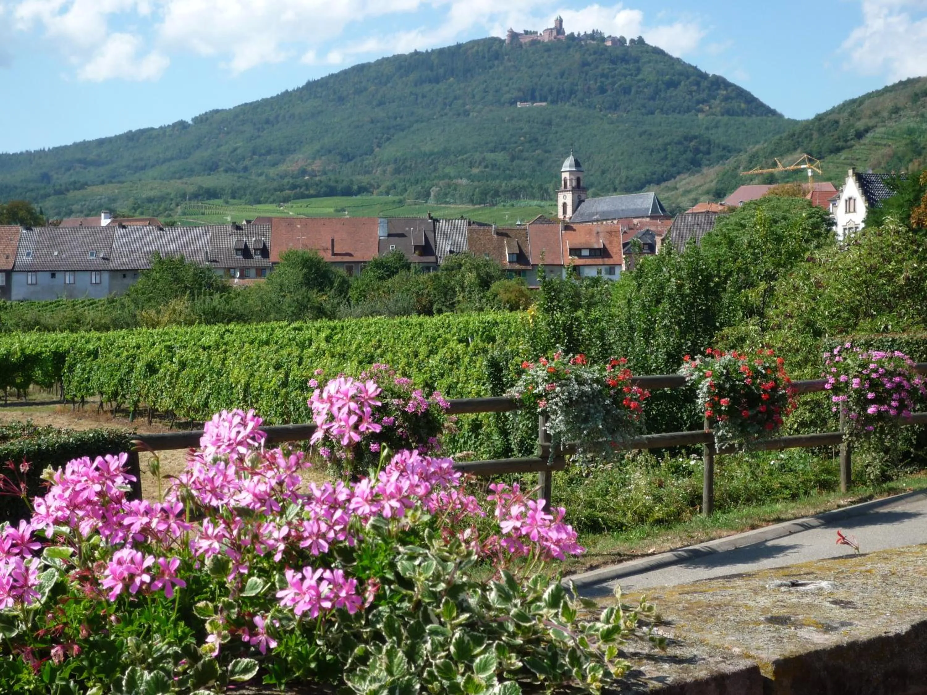 Other in Hôtel A la Vignette - COLMAR-NORD