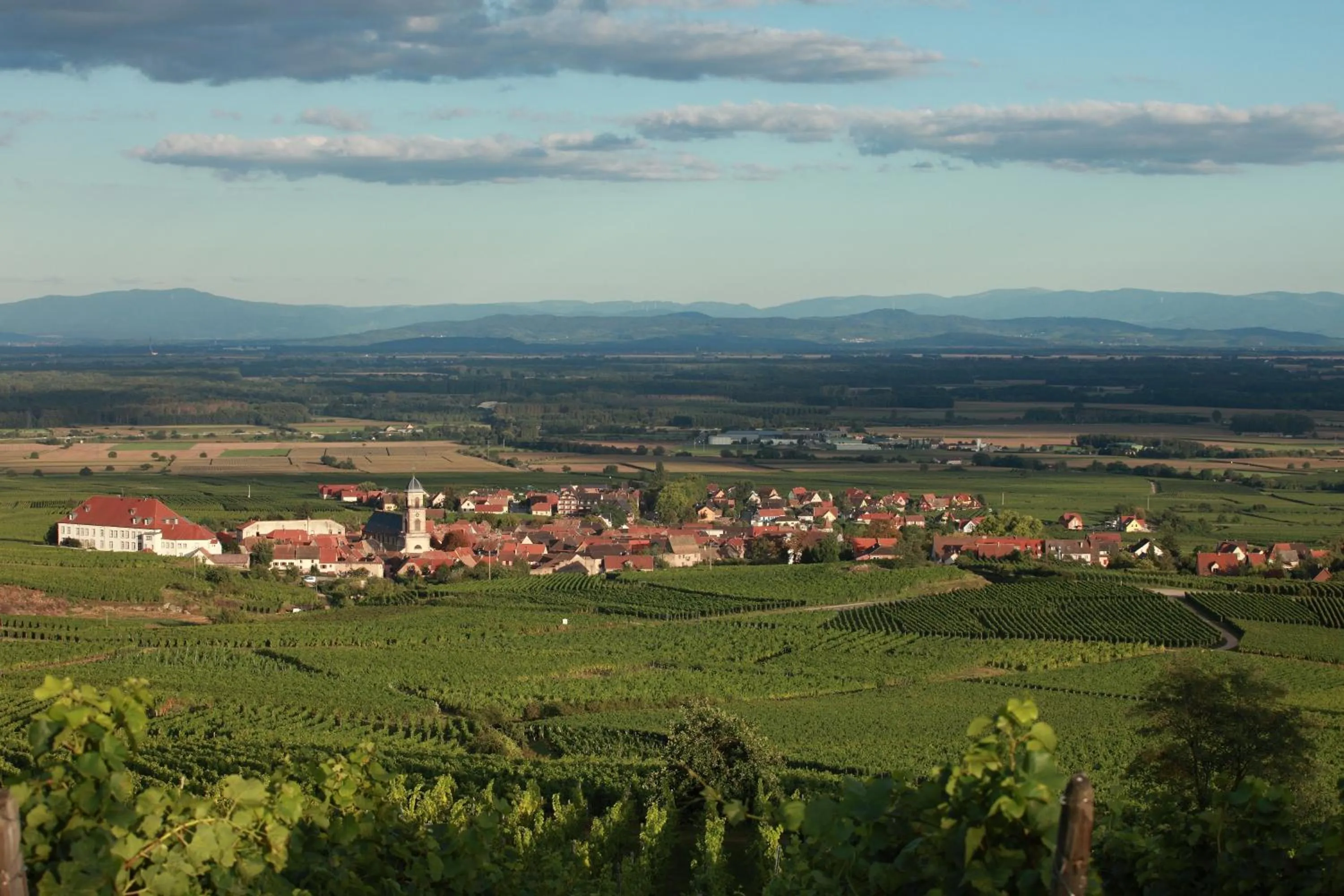 Natural landscape in Hôtel A la Vignette - COLMAR-NORD