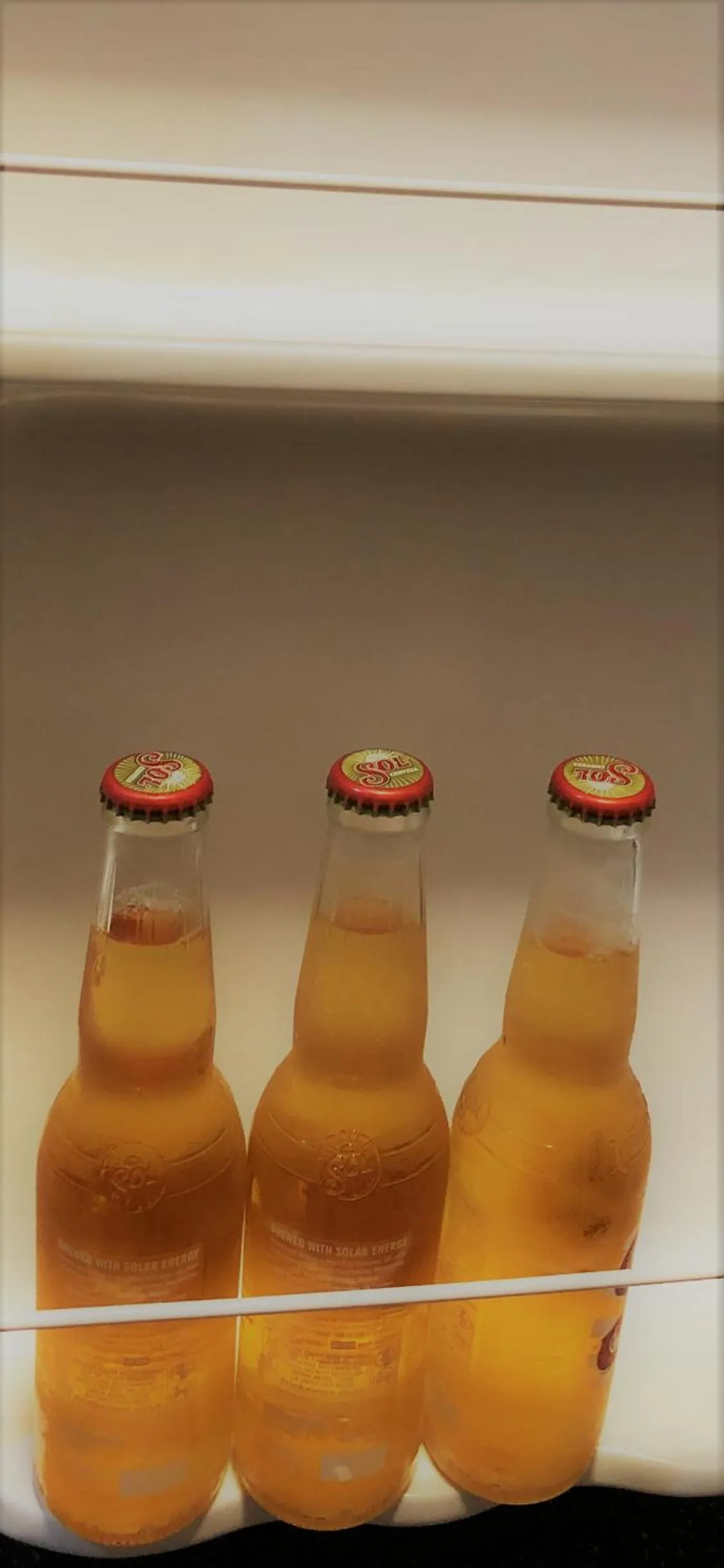 Drinks in Plaza London Hotel