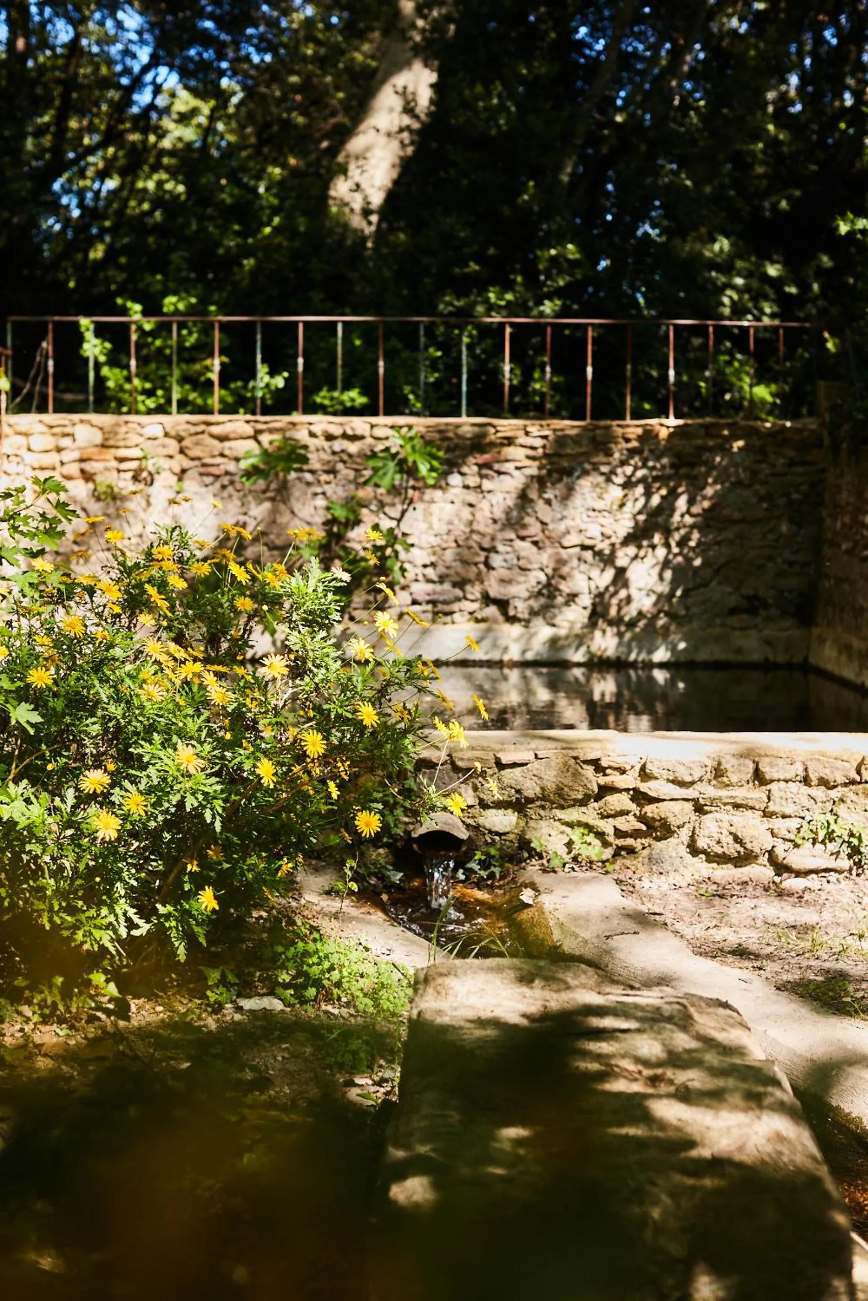 Garden in Fontclaire en Provence