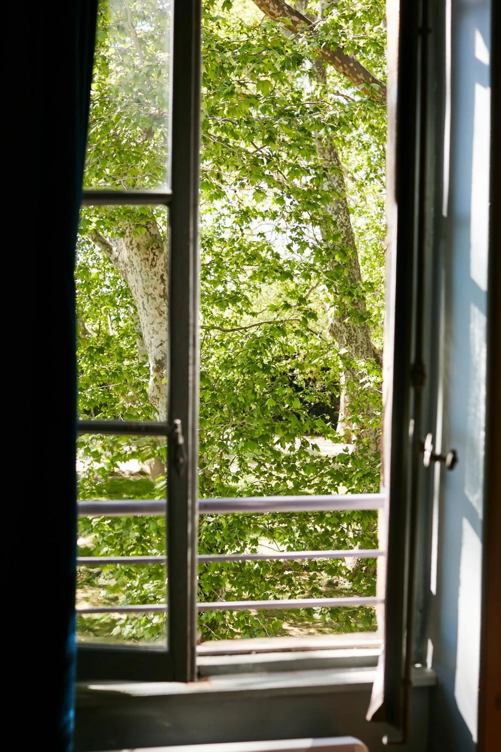Garden in Fontclaire en Provence