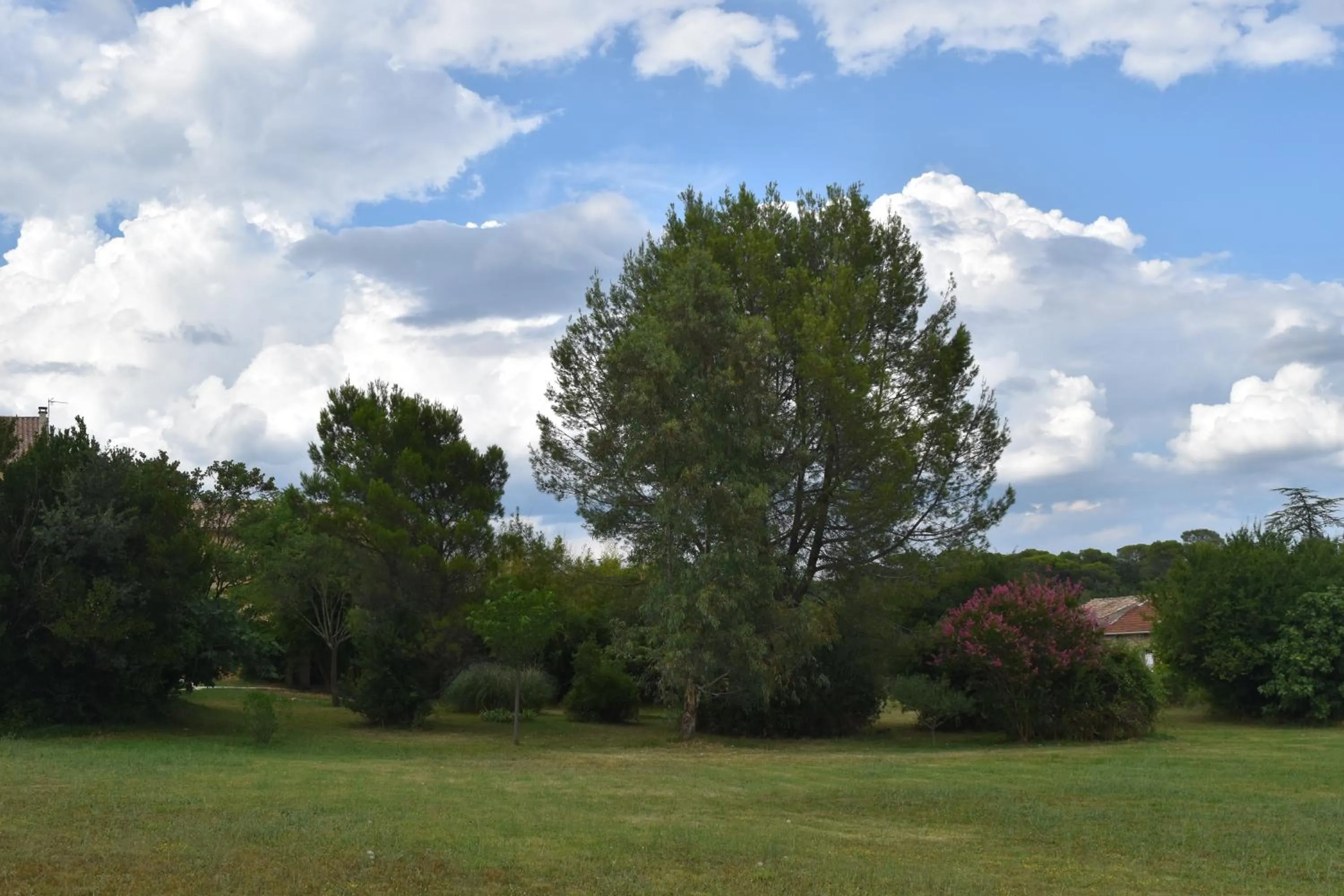 Day in Mas d'Asvin & Spa