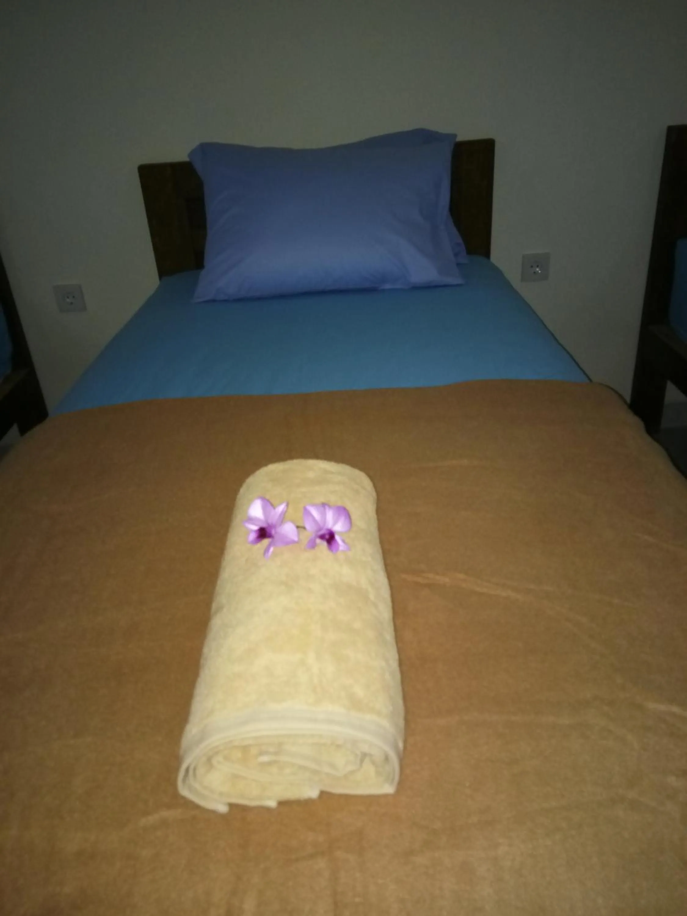 Property building in Dhipa Vibes Hotel