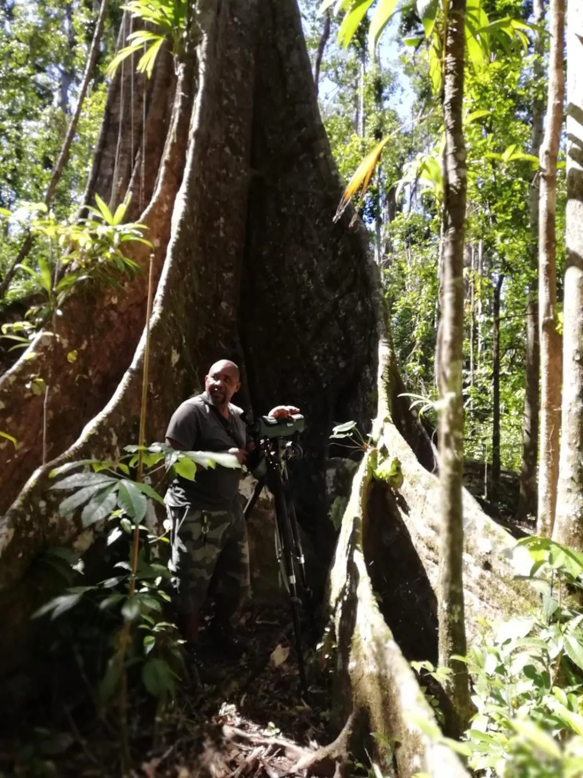 Activities in The Champs