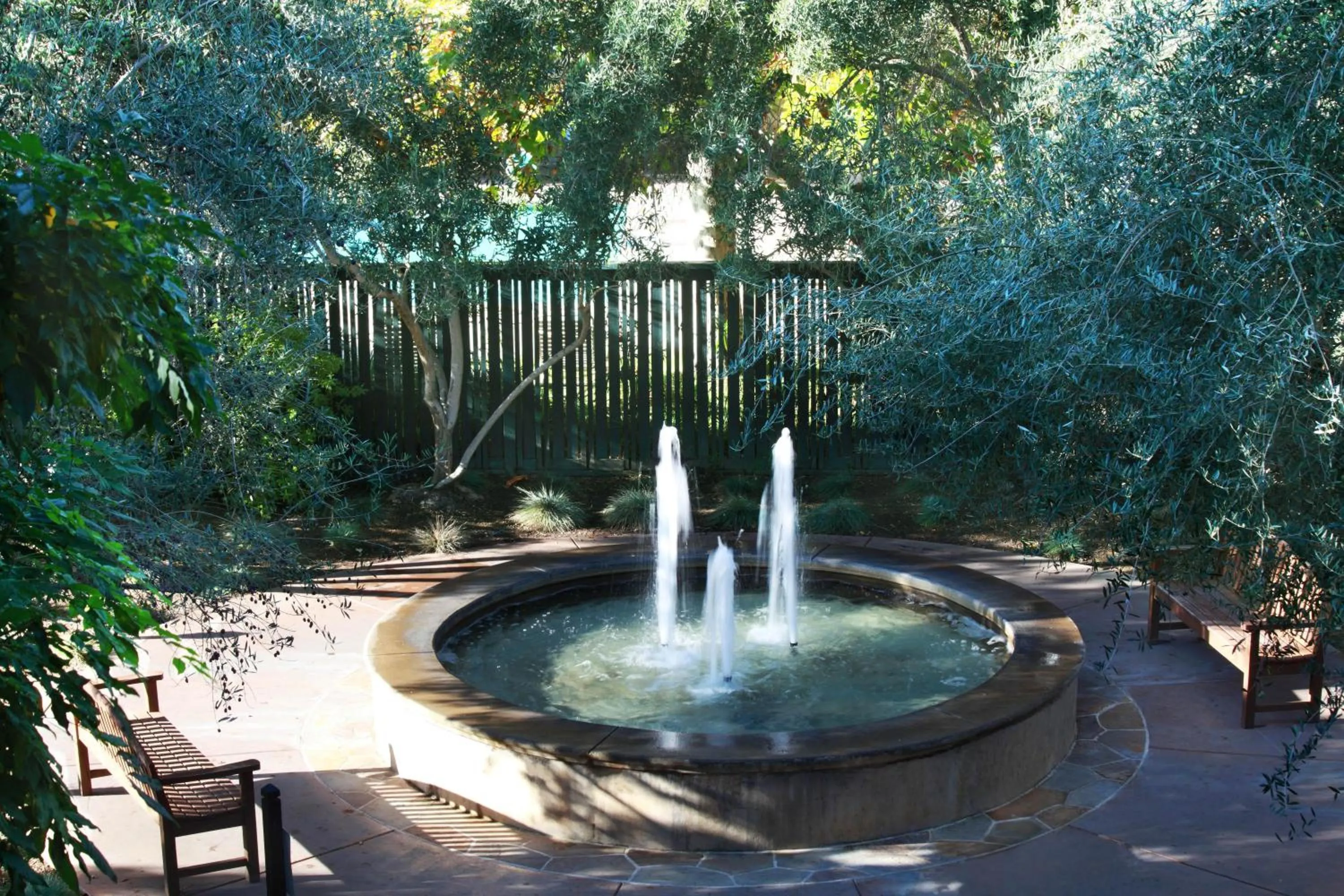 Garden in Southbridge Napa Valley