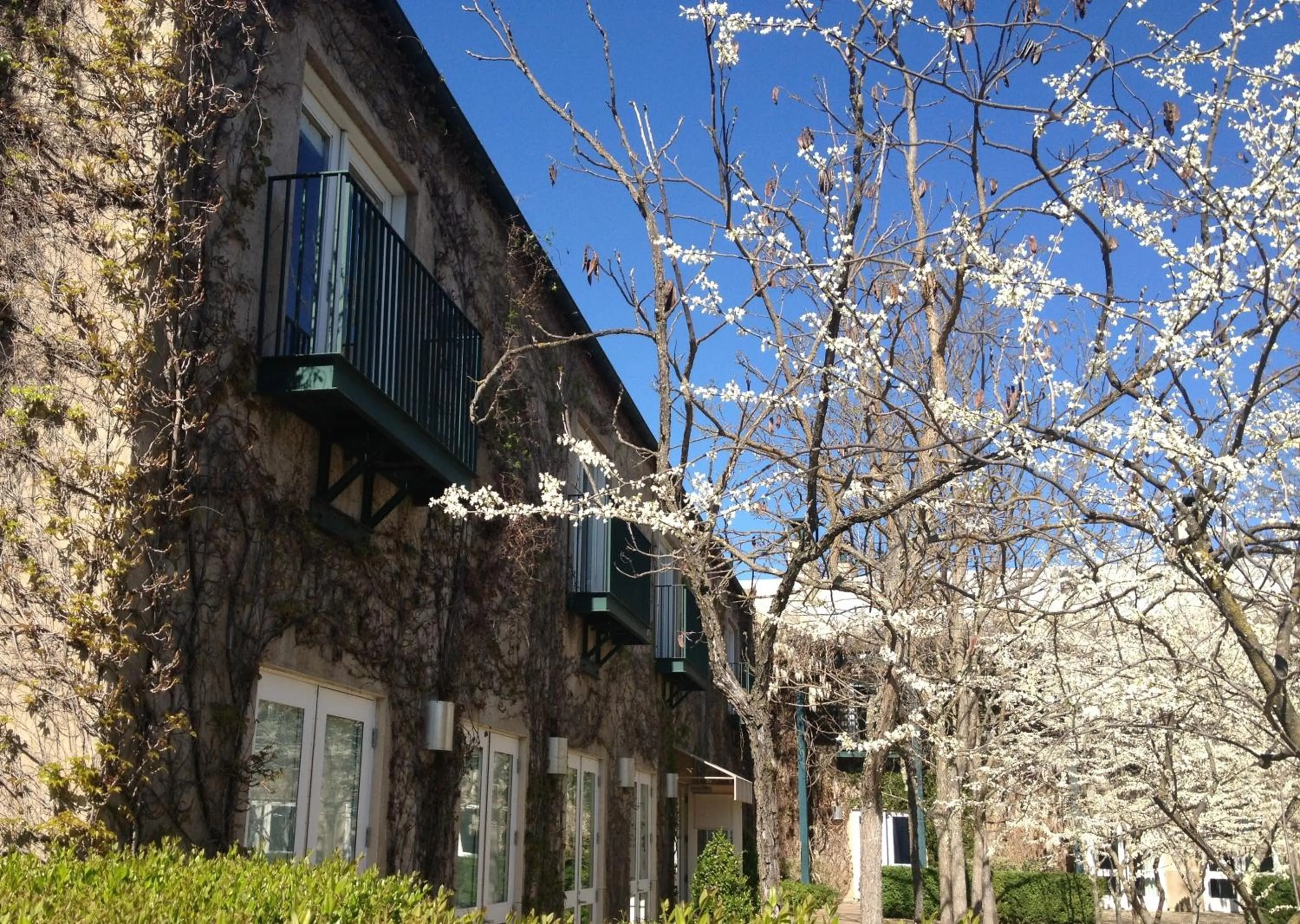 Facade/entrance in Southbridge Napa Valley