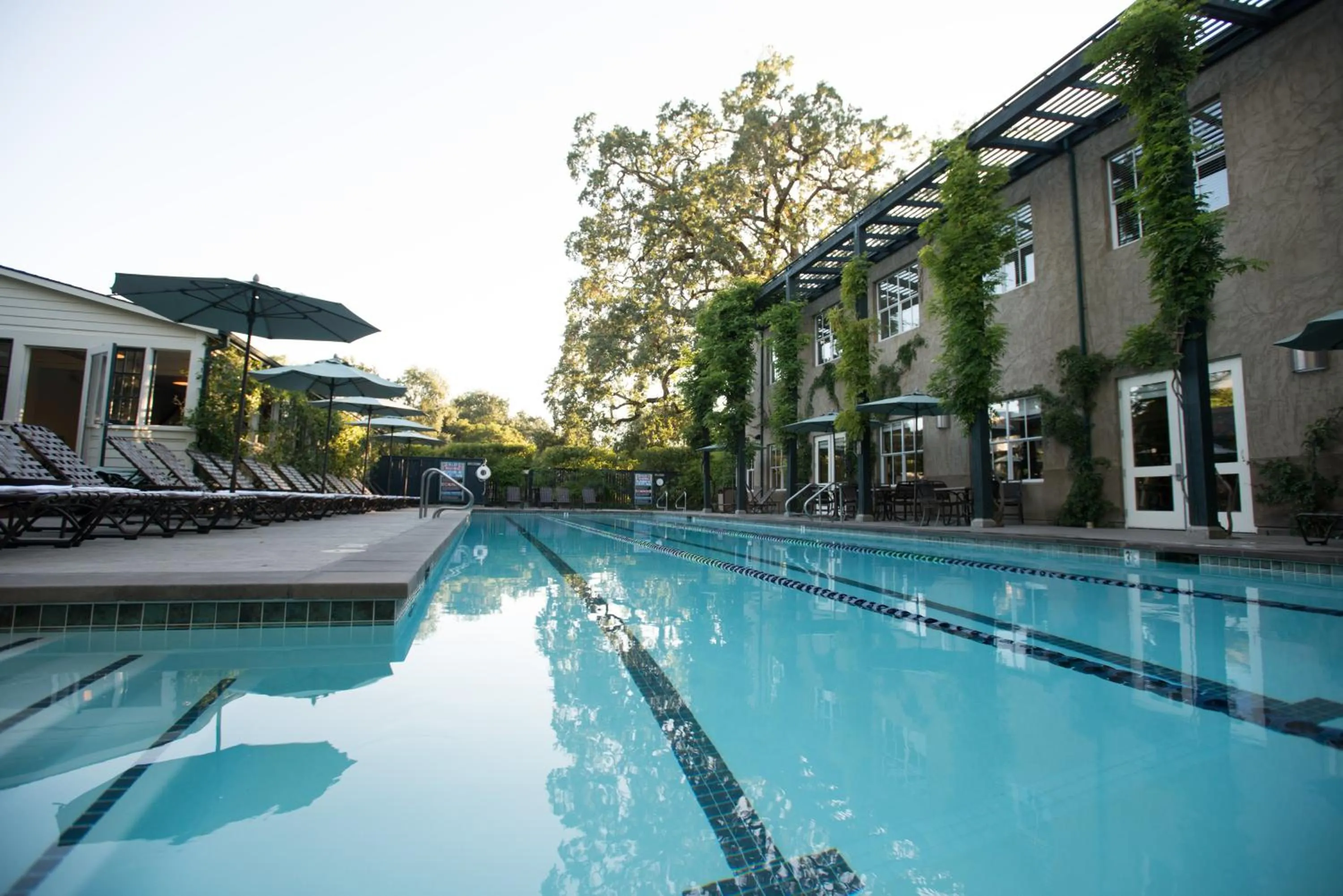 Swimming pool in Southbridge Napa Valley