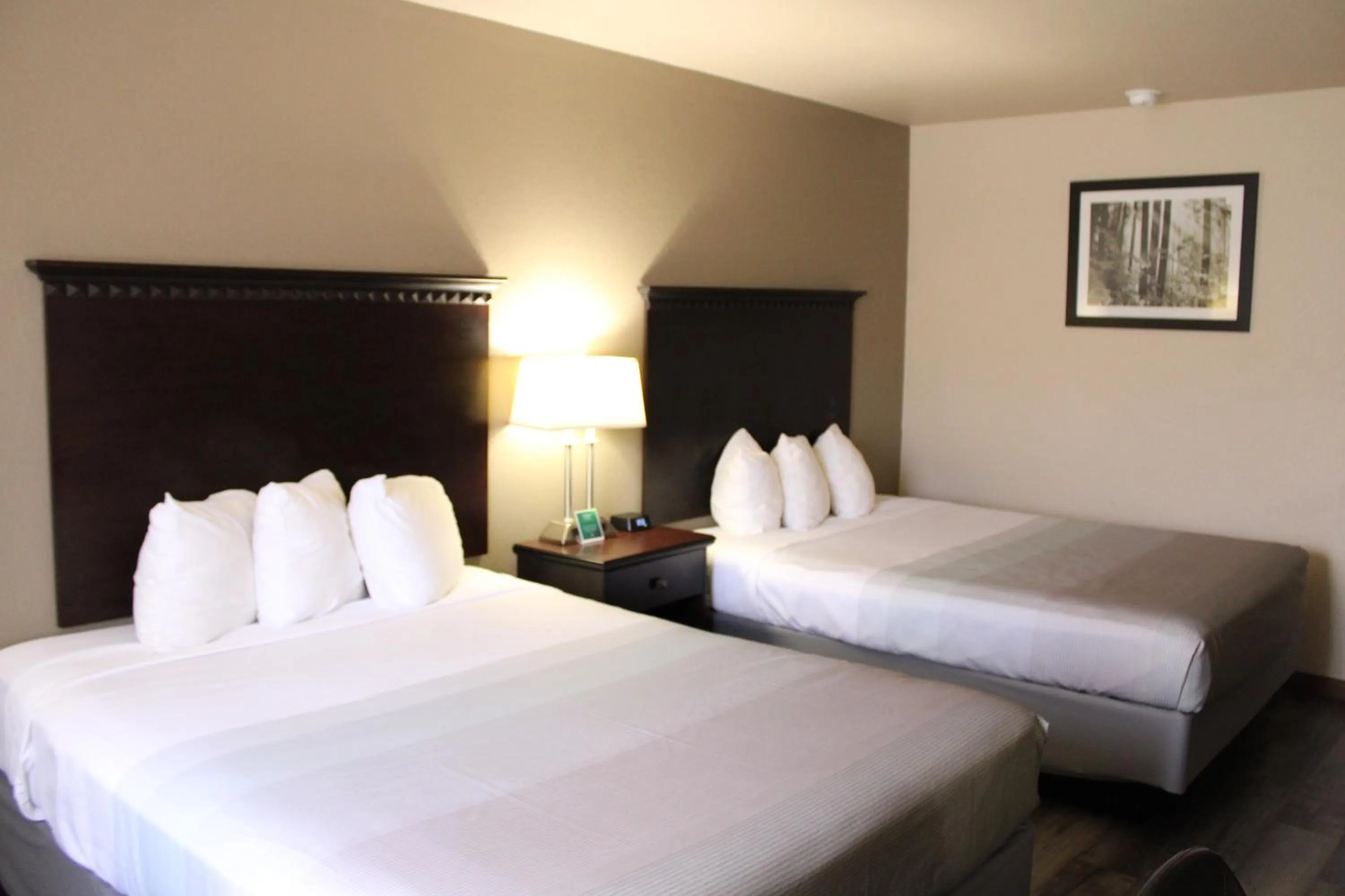 Bed in Quality Inn Gunnison-Crested Butte