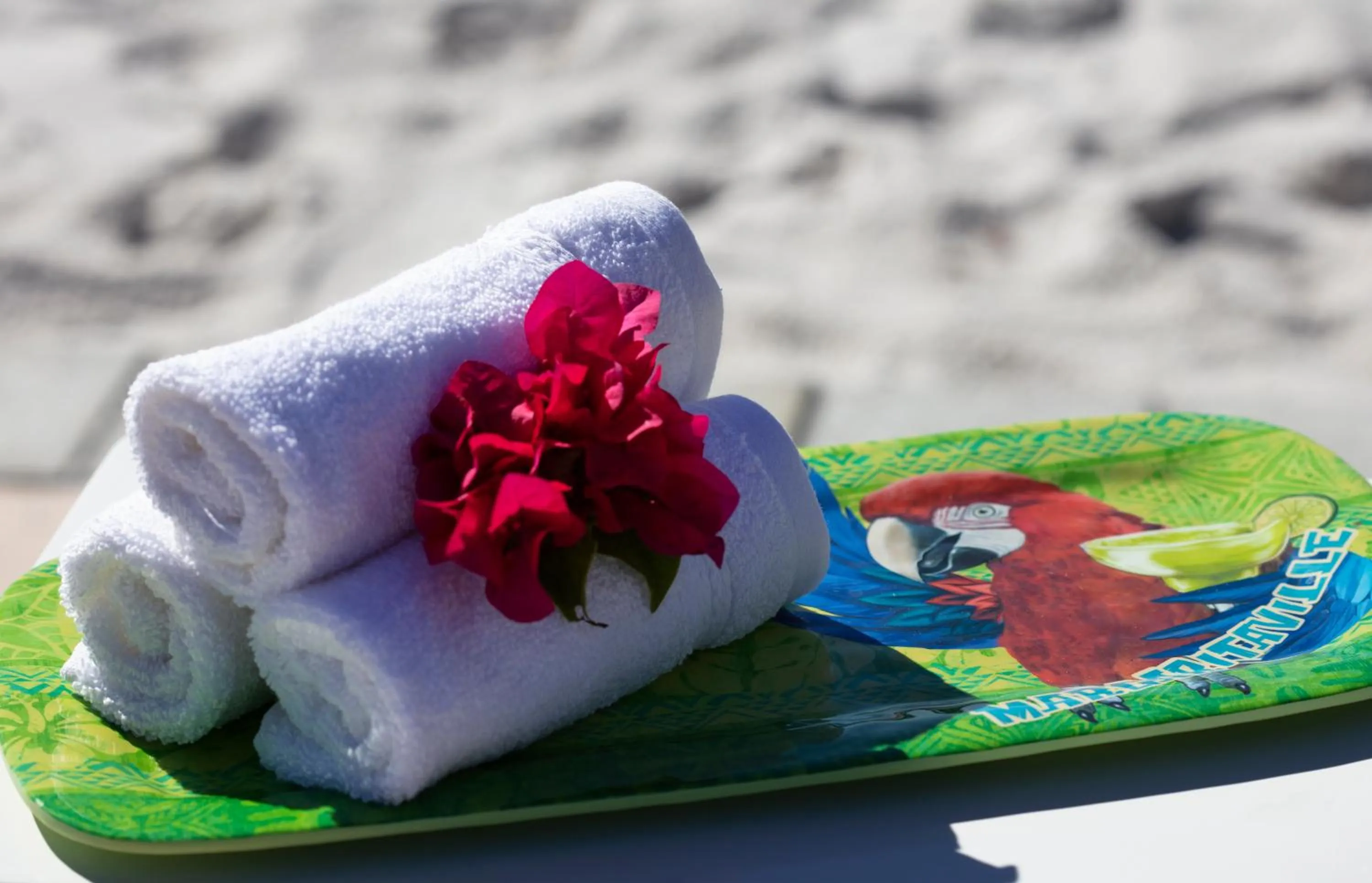 Decorative detail in Margaritaville Resort Orlando with H2O Waterpark