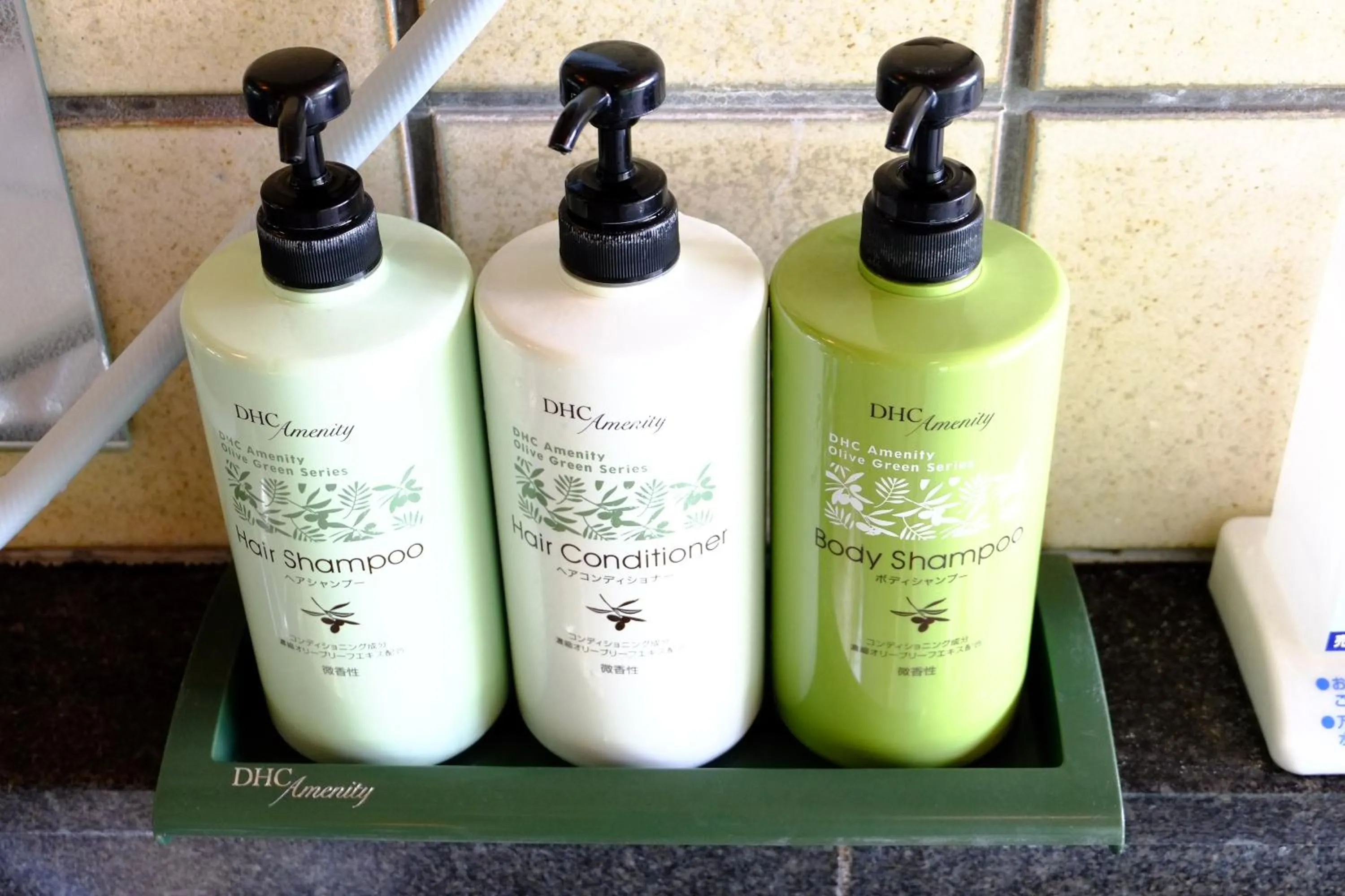 Other in Lake Yamanakako Shuzansou