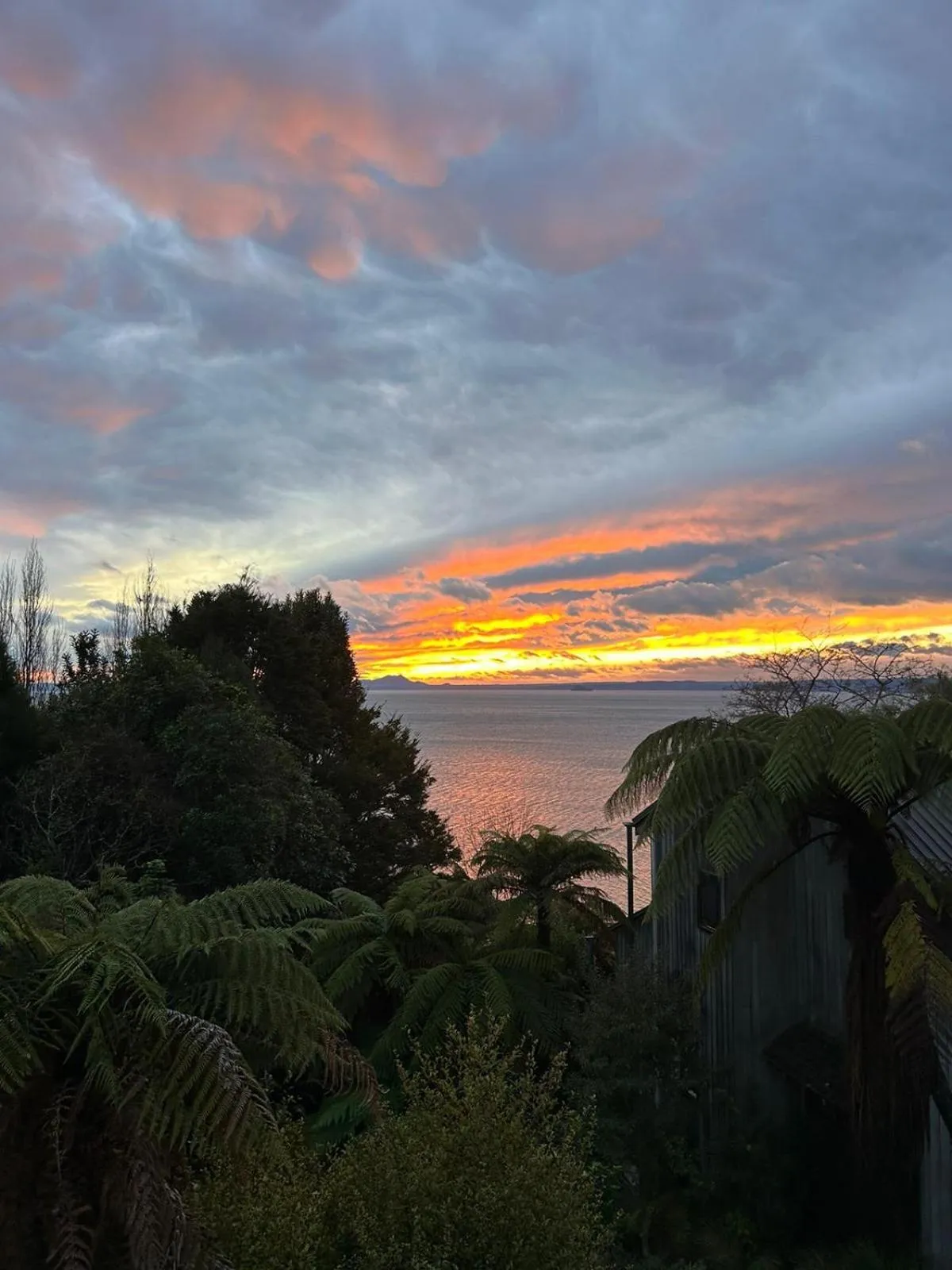 Natural landscape in Oreti Collection - By Vacations in Paradise