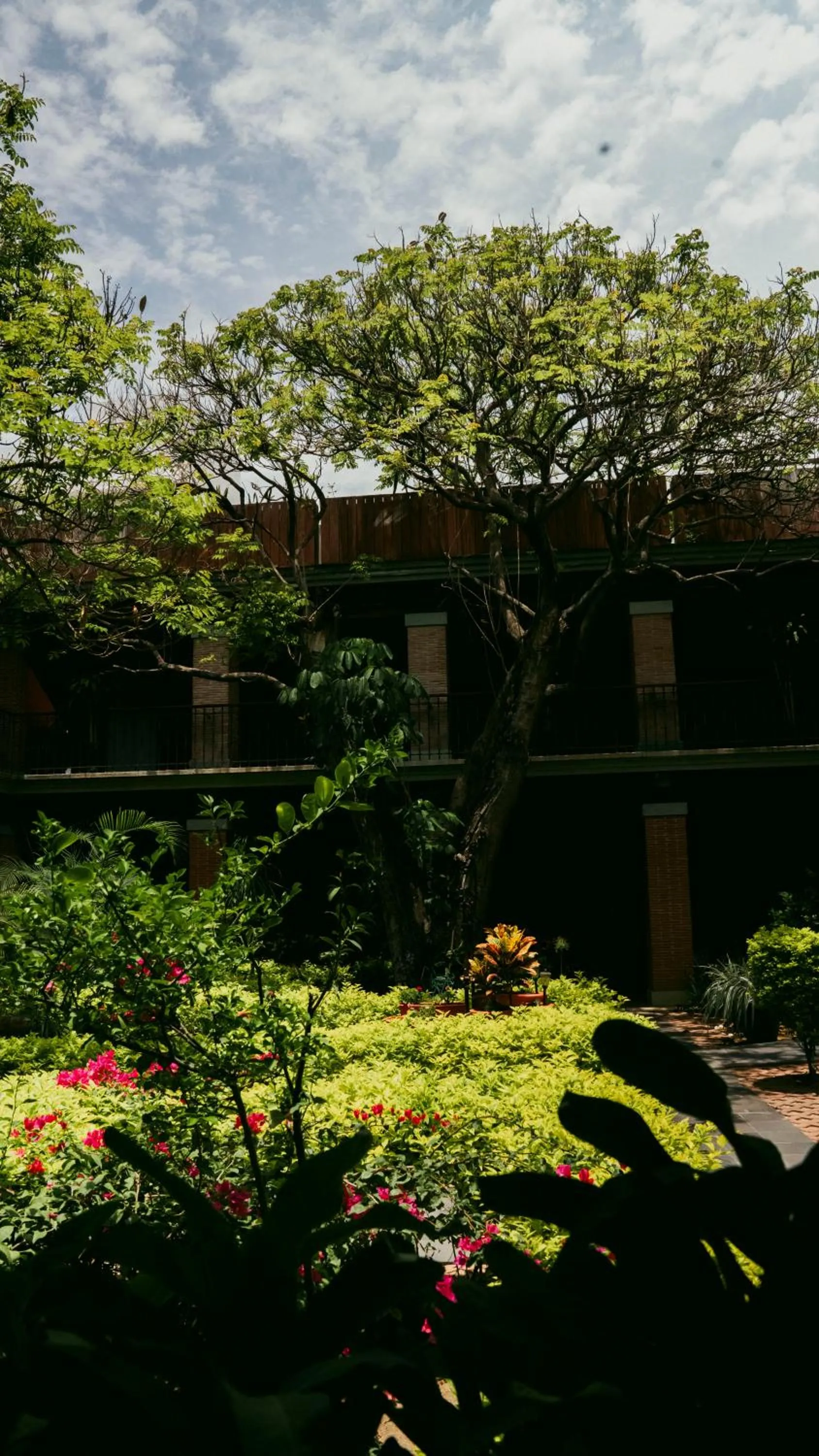 Spring in Hotel Siglo 17