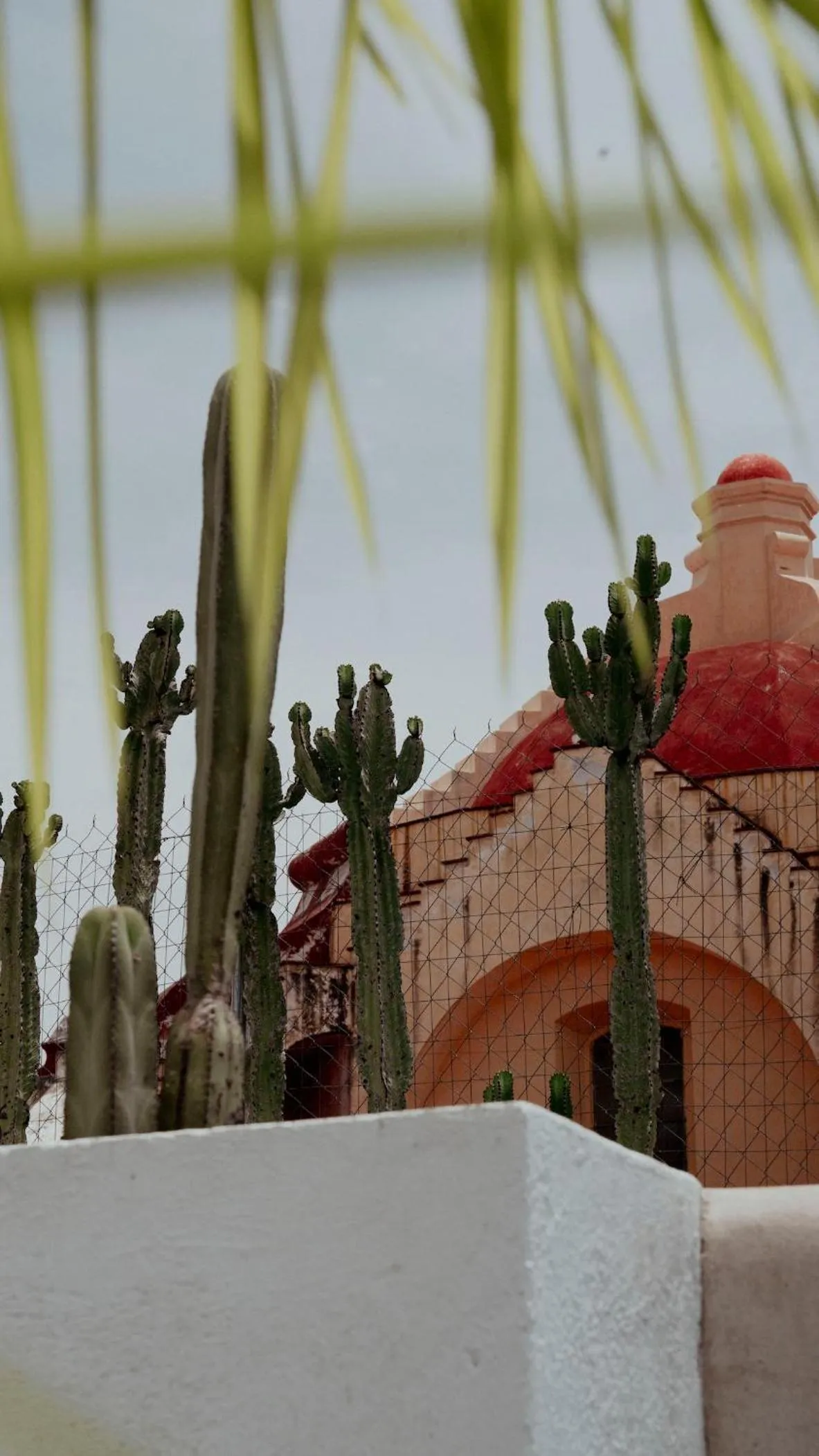 Day in Hotel Siglo 17