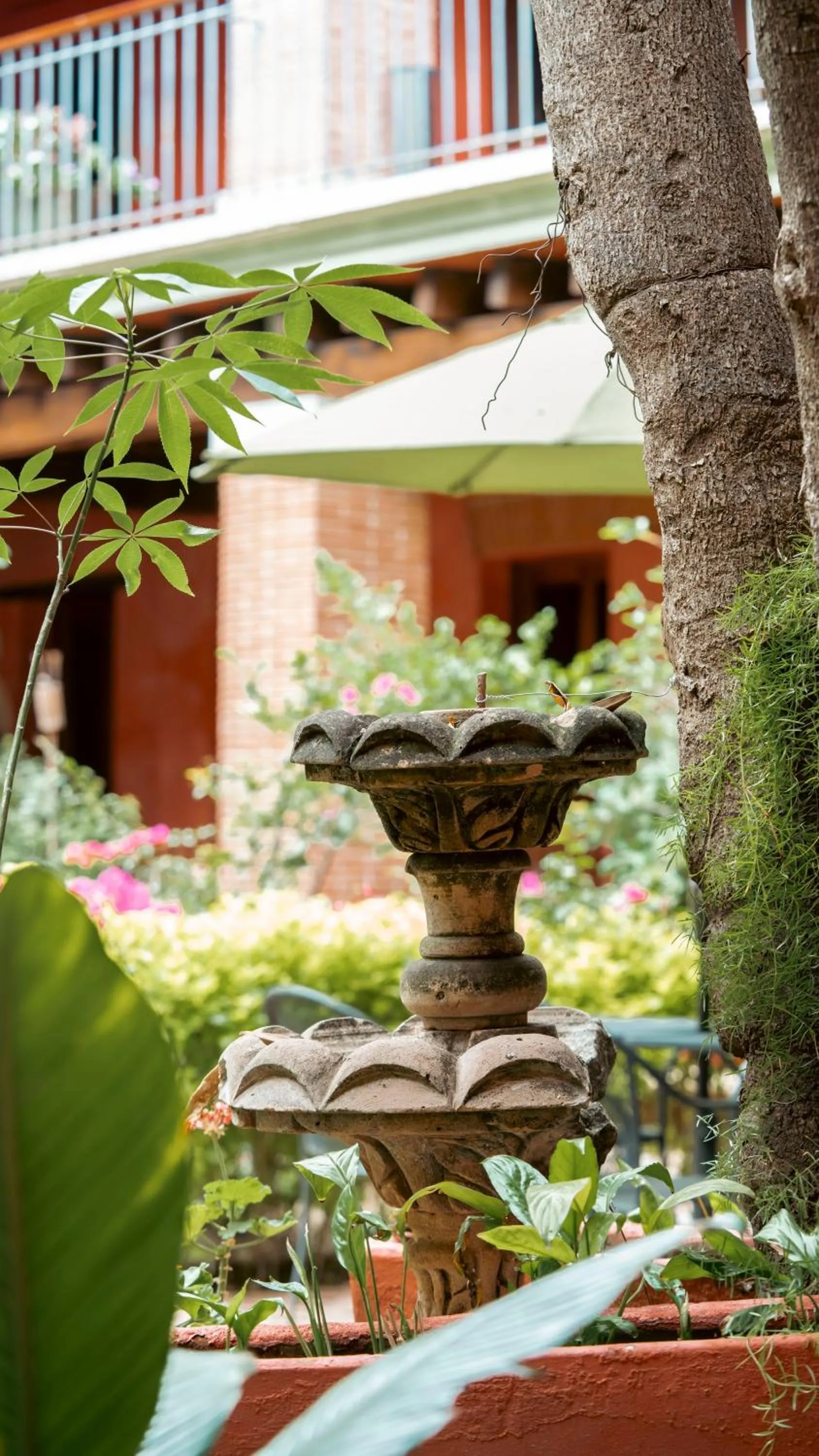 Restaurant/places to eat in Hotel Siglo 17