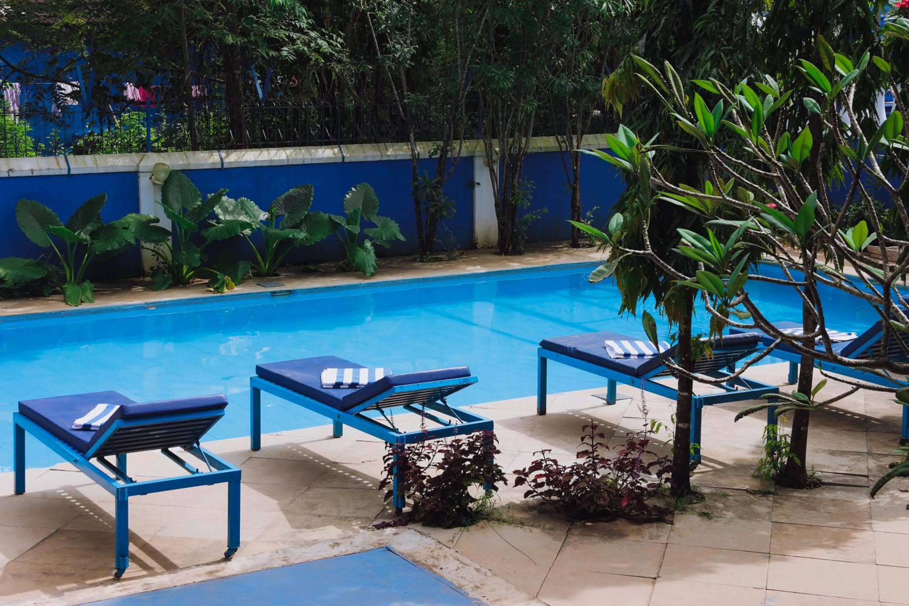 Garden in Mayflower Beach Resort