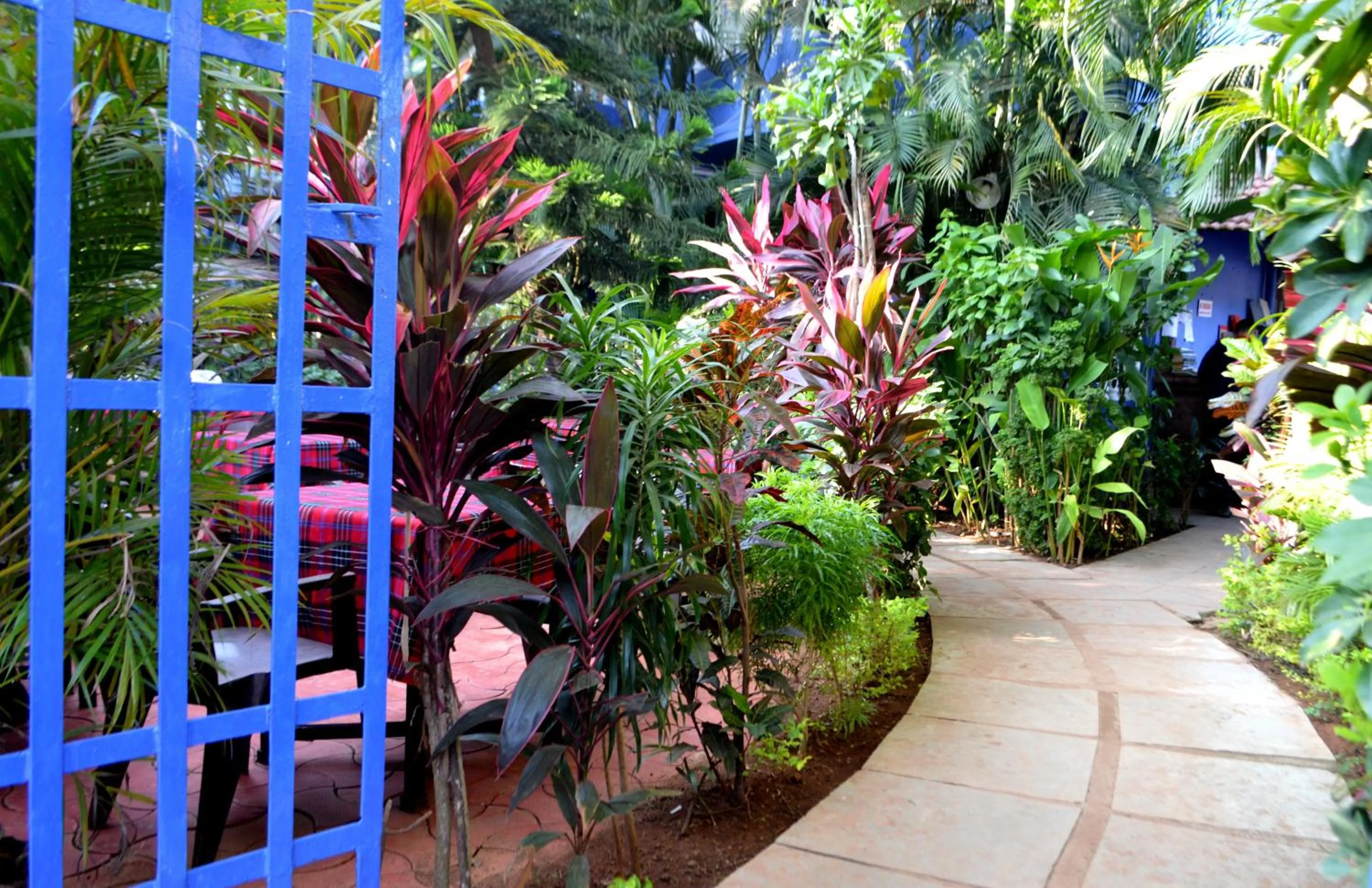 Garden in Villa Theresa Beach Resort