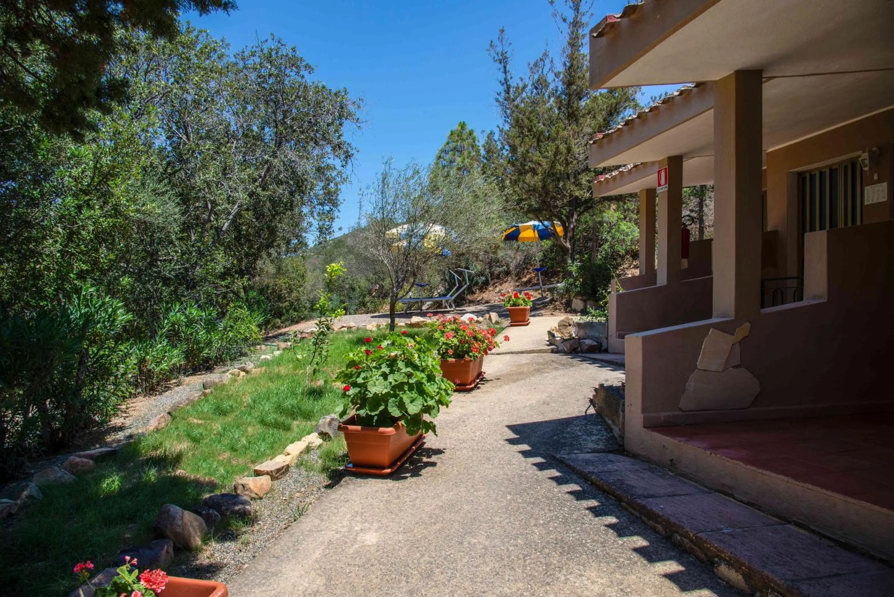 Garden in Hotel L'Oleandro