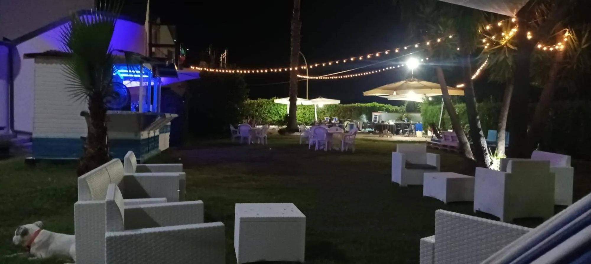 Restaurant/places to eat in Hotel Marinella