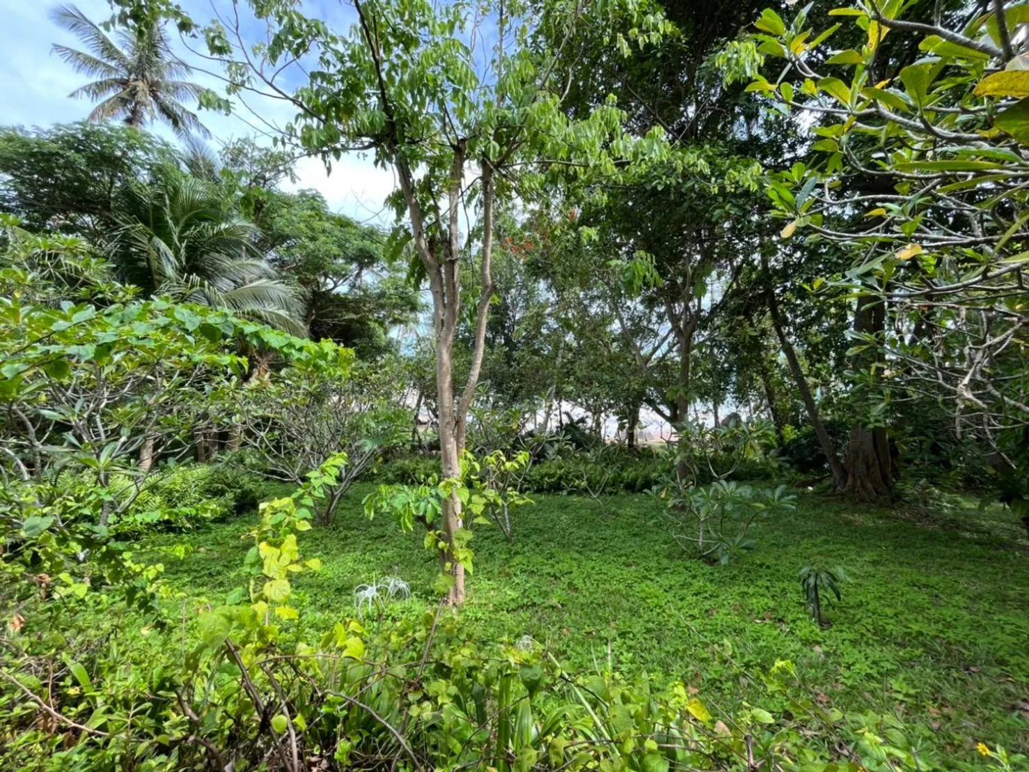 View (from property/room) in Koh Tao Cabana