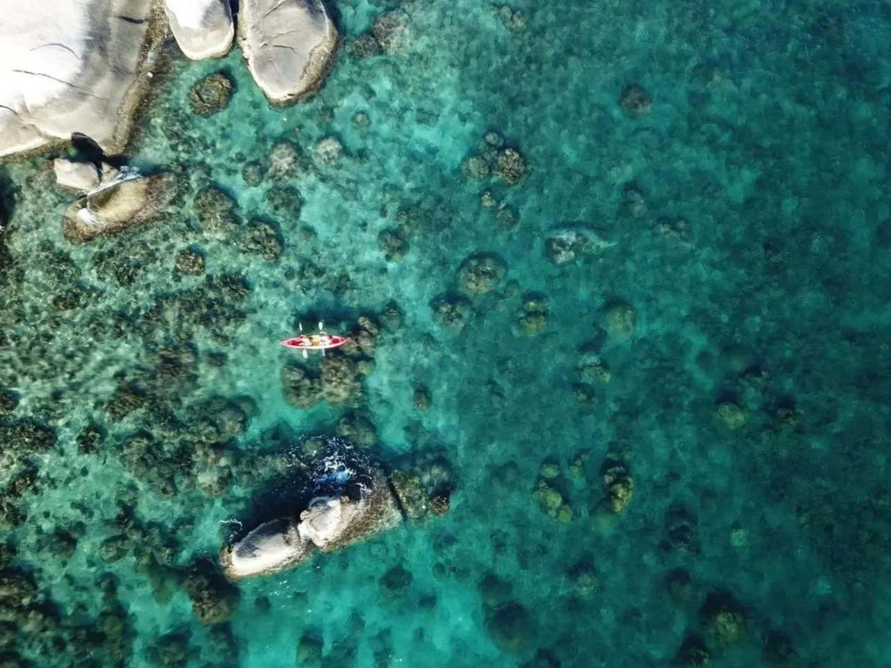 Day in Koh Tao Cabana