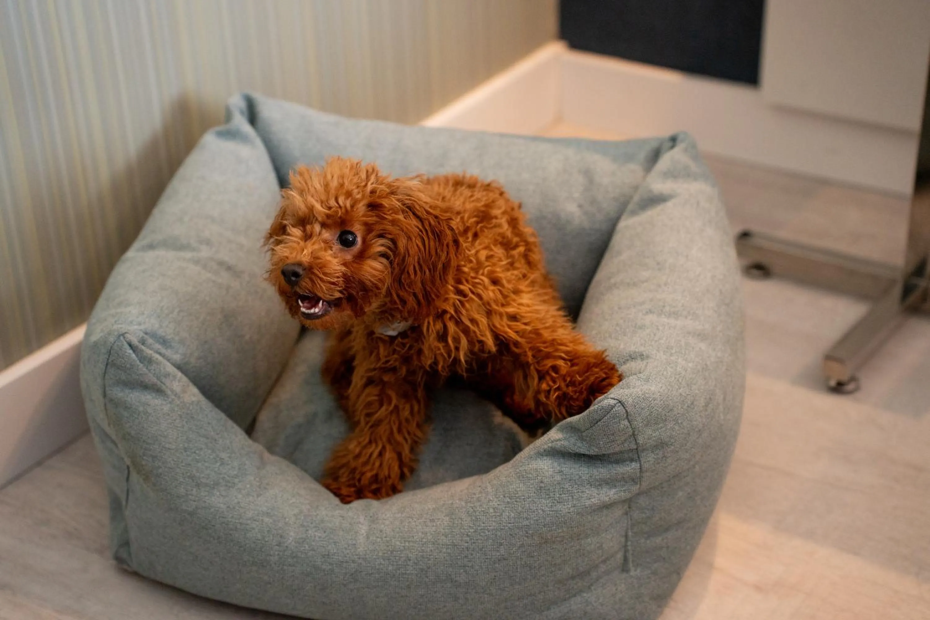 Hotel Málaga Nostrum Airport