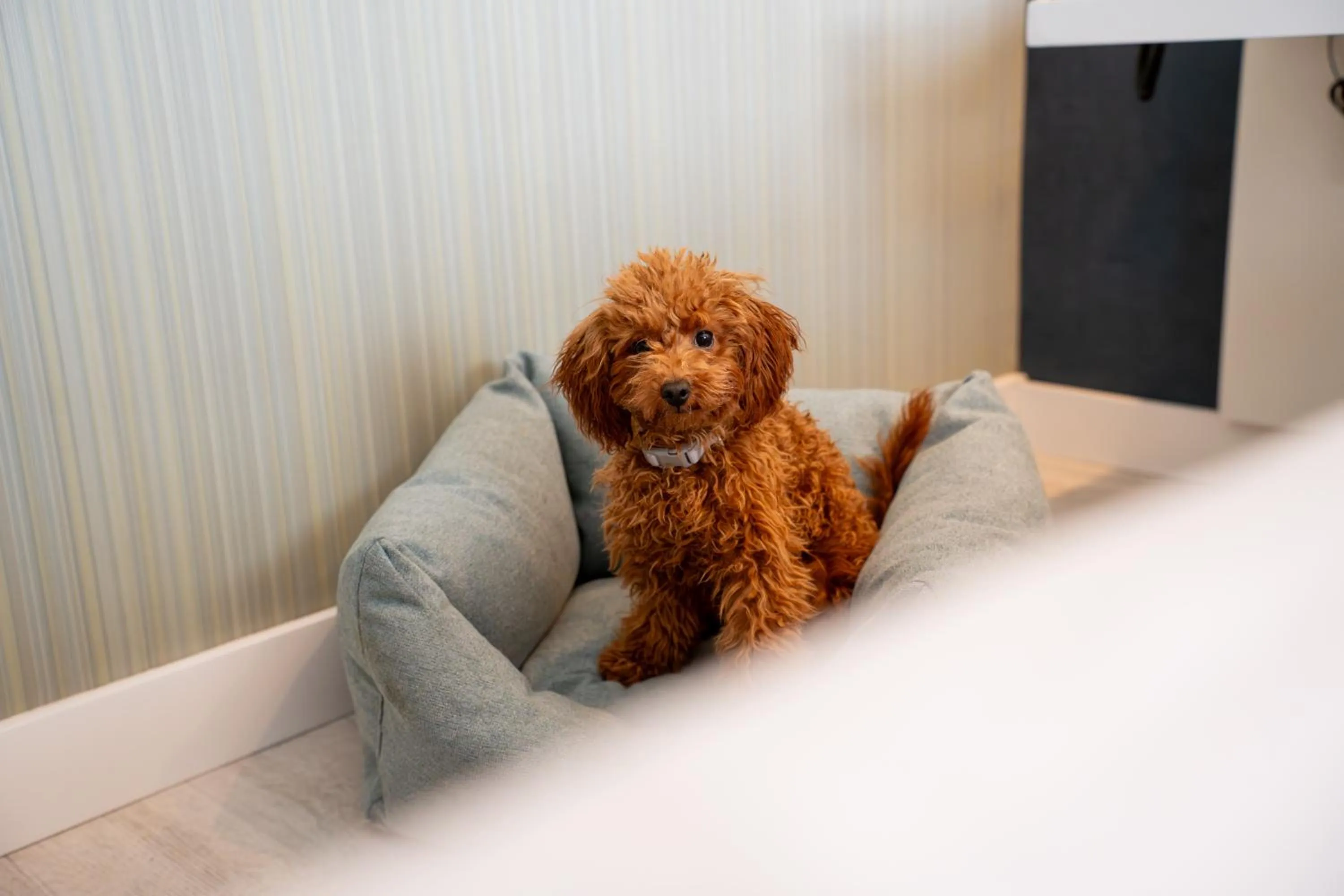 Hotel Málaga Nostrum Airport