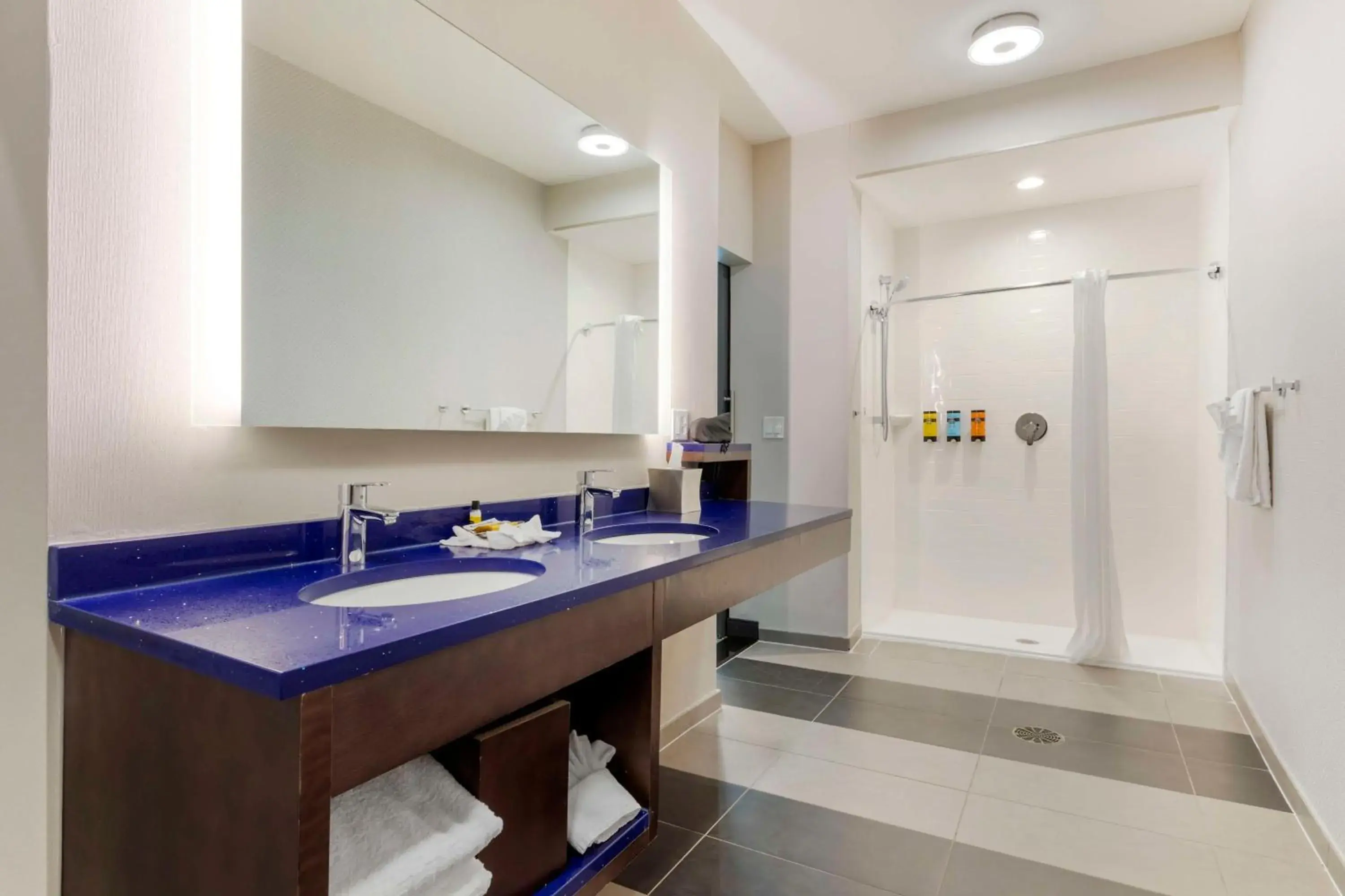 King Room with Roll-In Shower - Disability Access in GLō Best Western DeSoto Dallas King Room with Roll-In Shower - Disability Access in GLō Best Western DeSoto Dallas