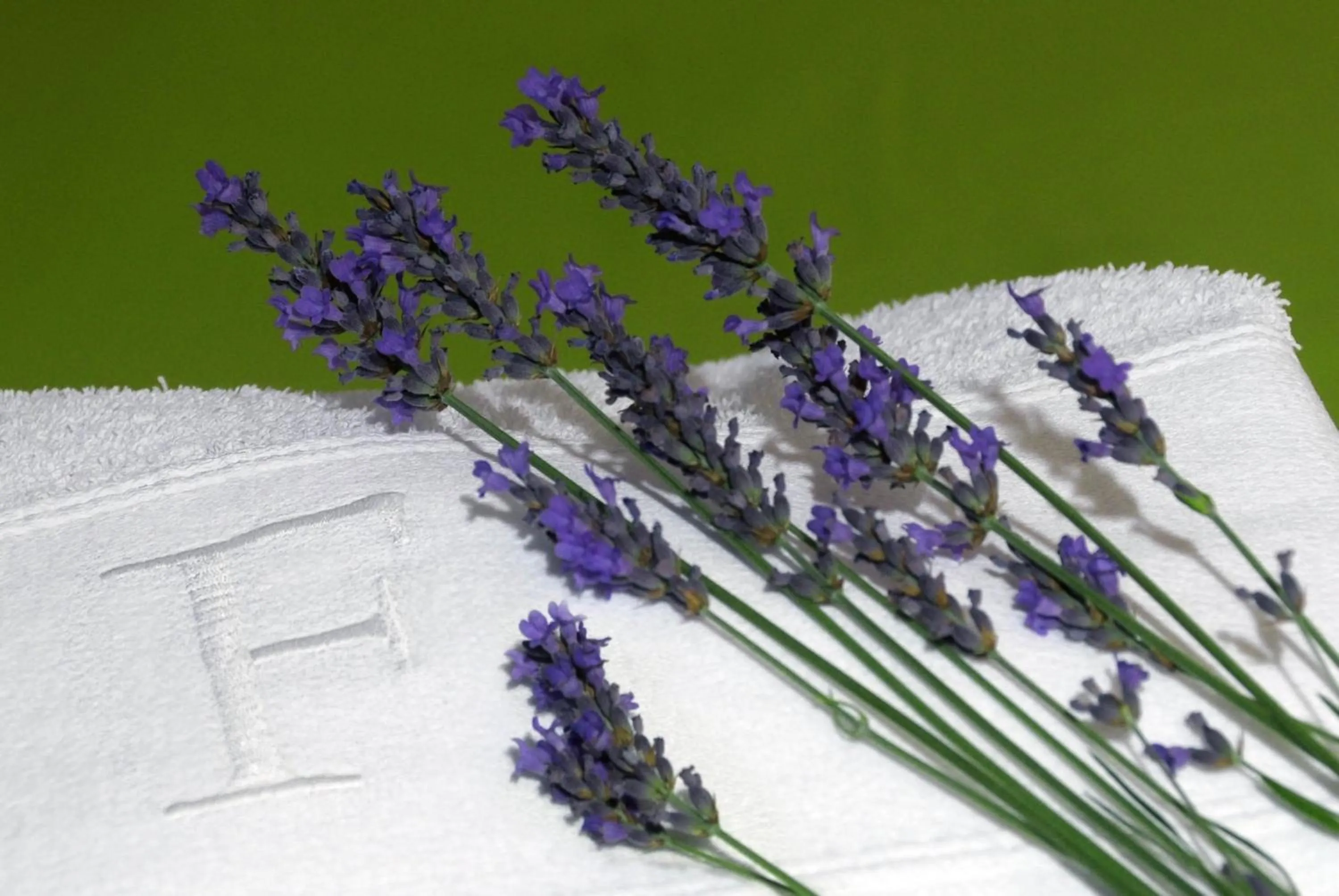 Decorative detail in Ferrinho