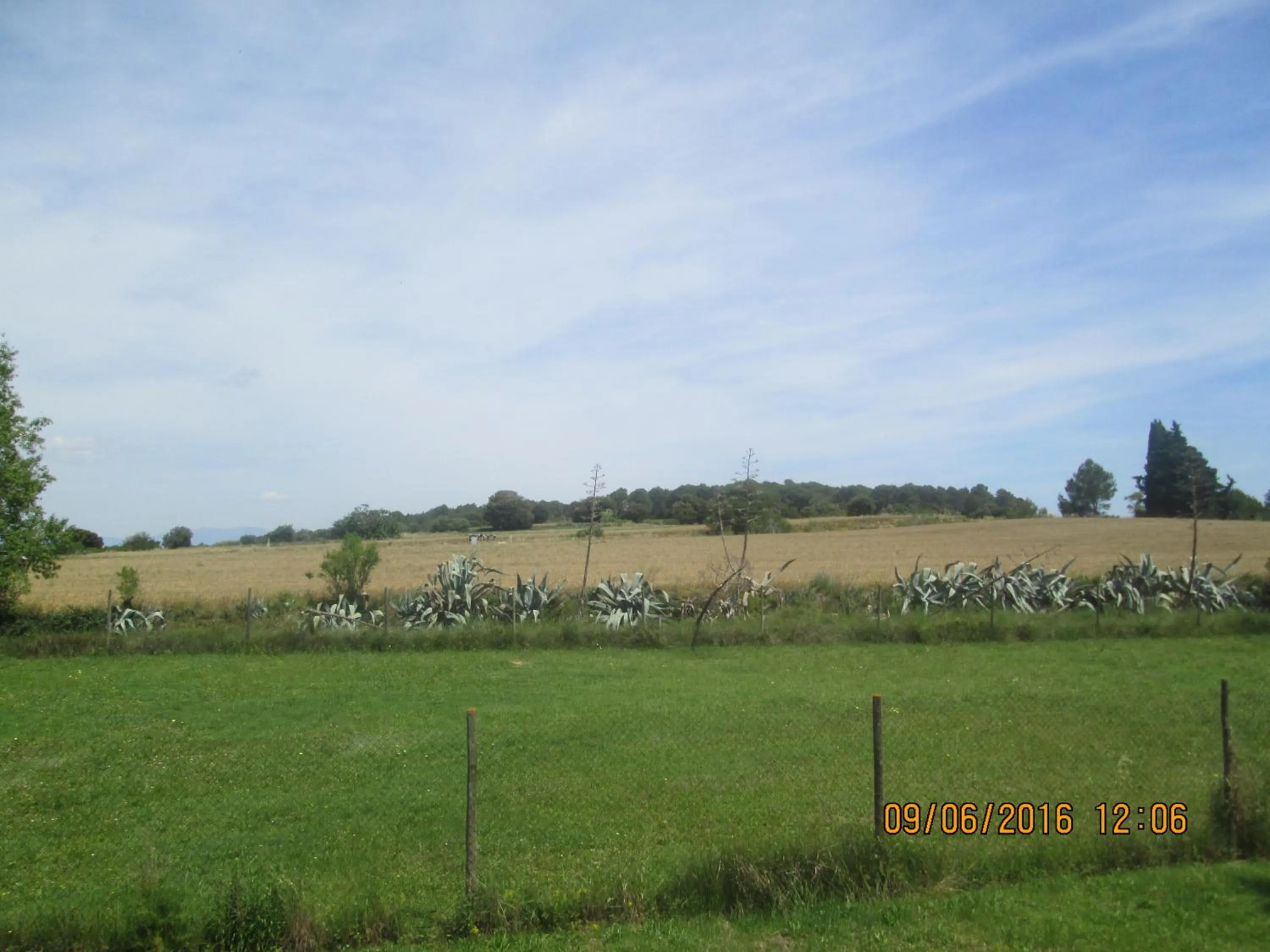 Day in Hostal Avi Pep