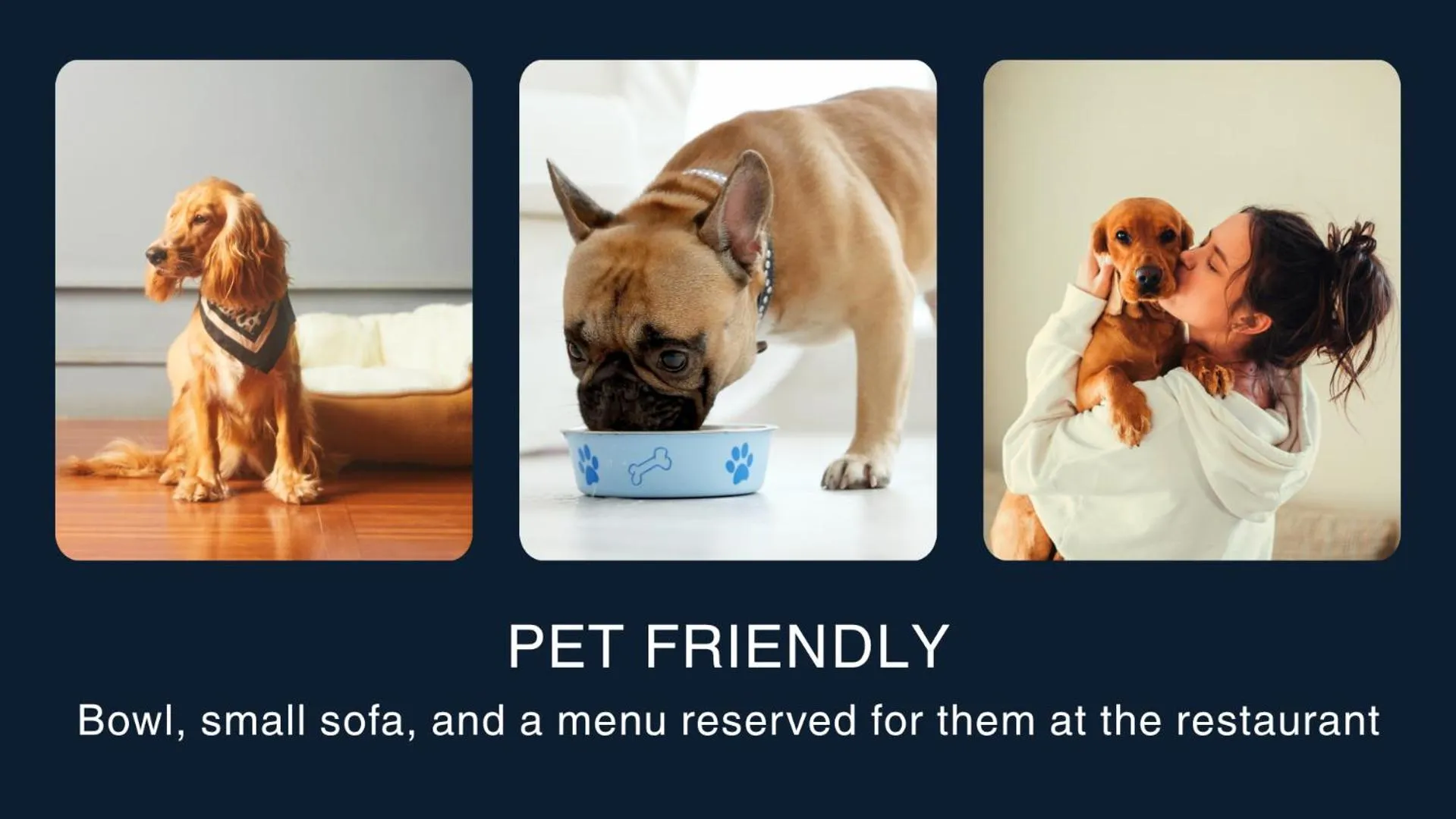 Animals in Marina di Scarlino Resort