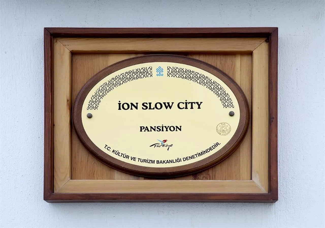 Other in Ion Slow City Adult 12