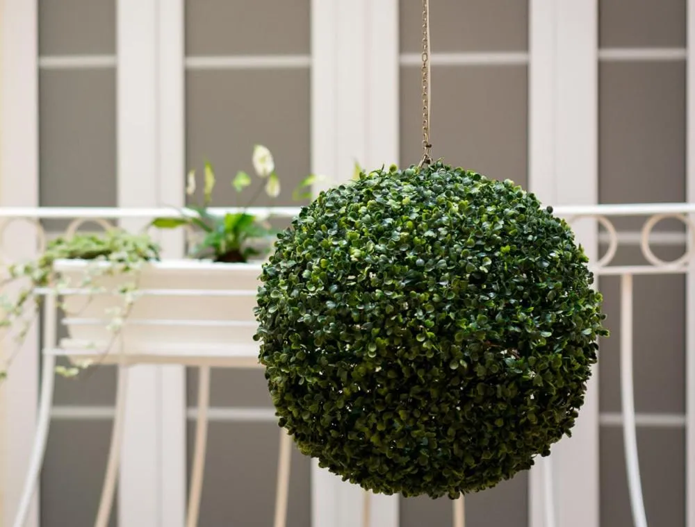 Property building in Valletta Lucente Guest House