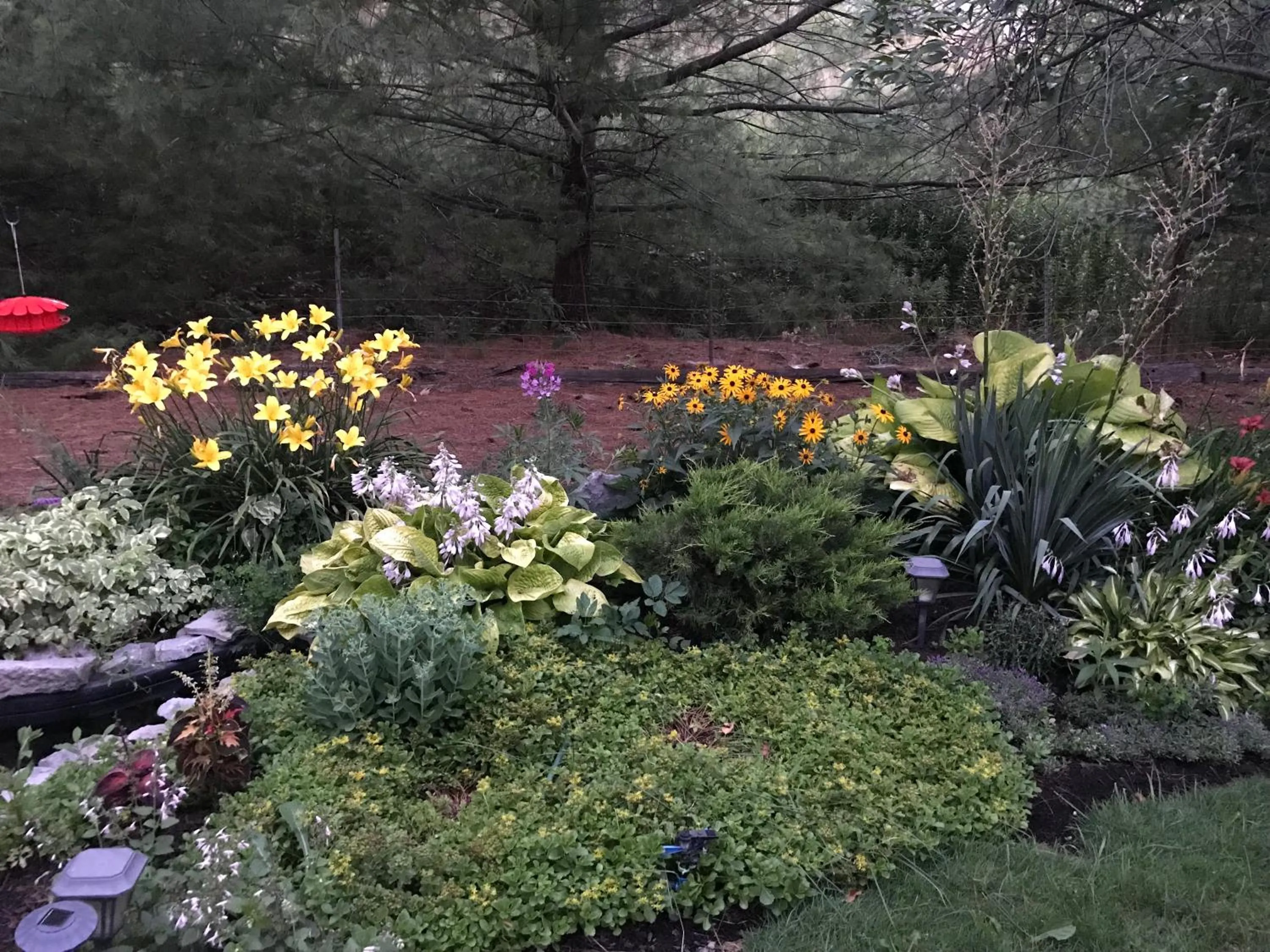 Garden view in Lake Ontario Motel & Inn