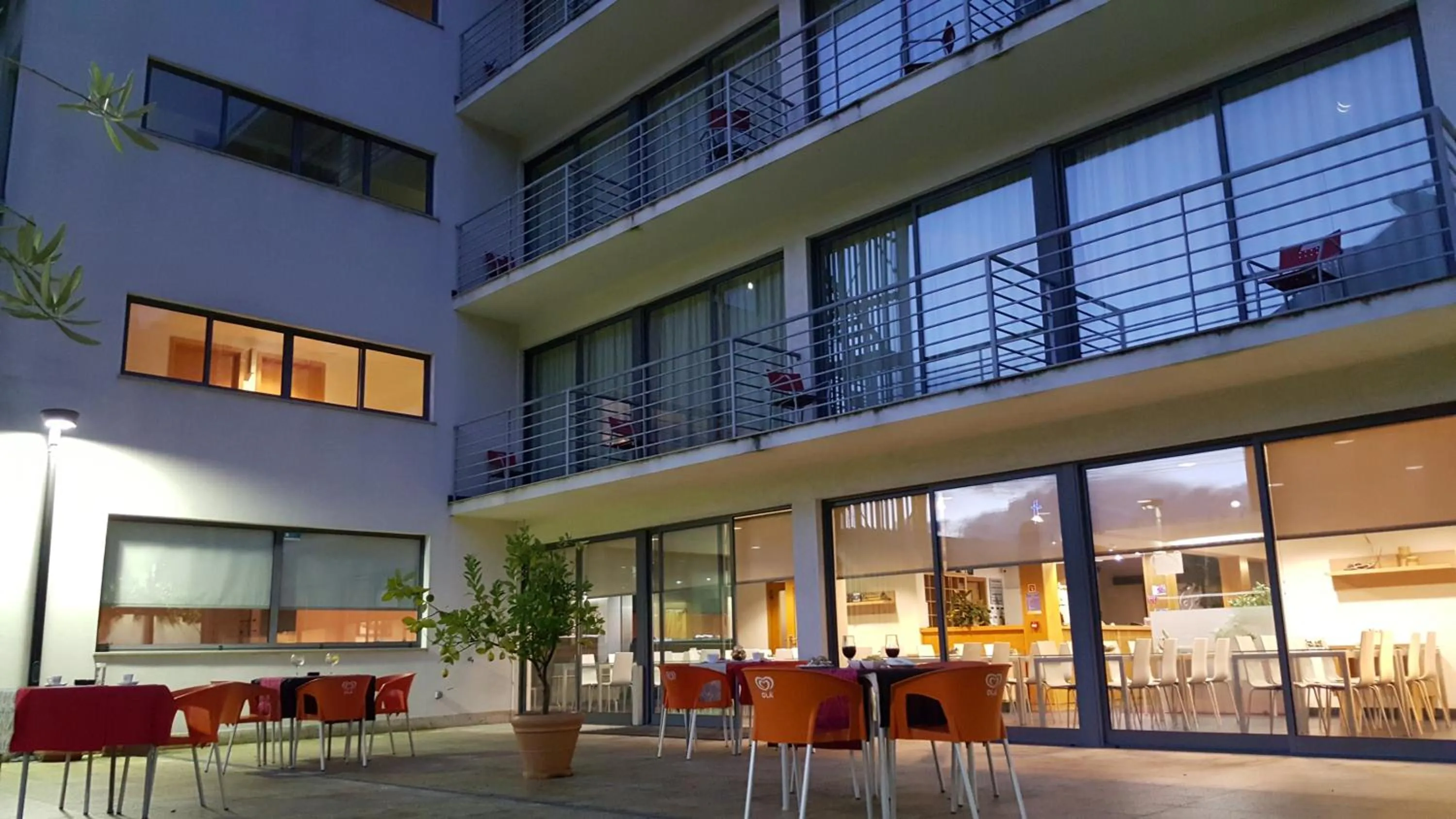 Garden in Hotel Jose Alberto