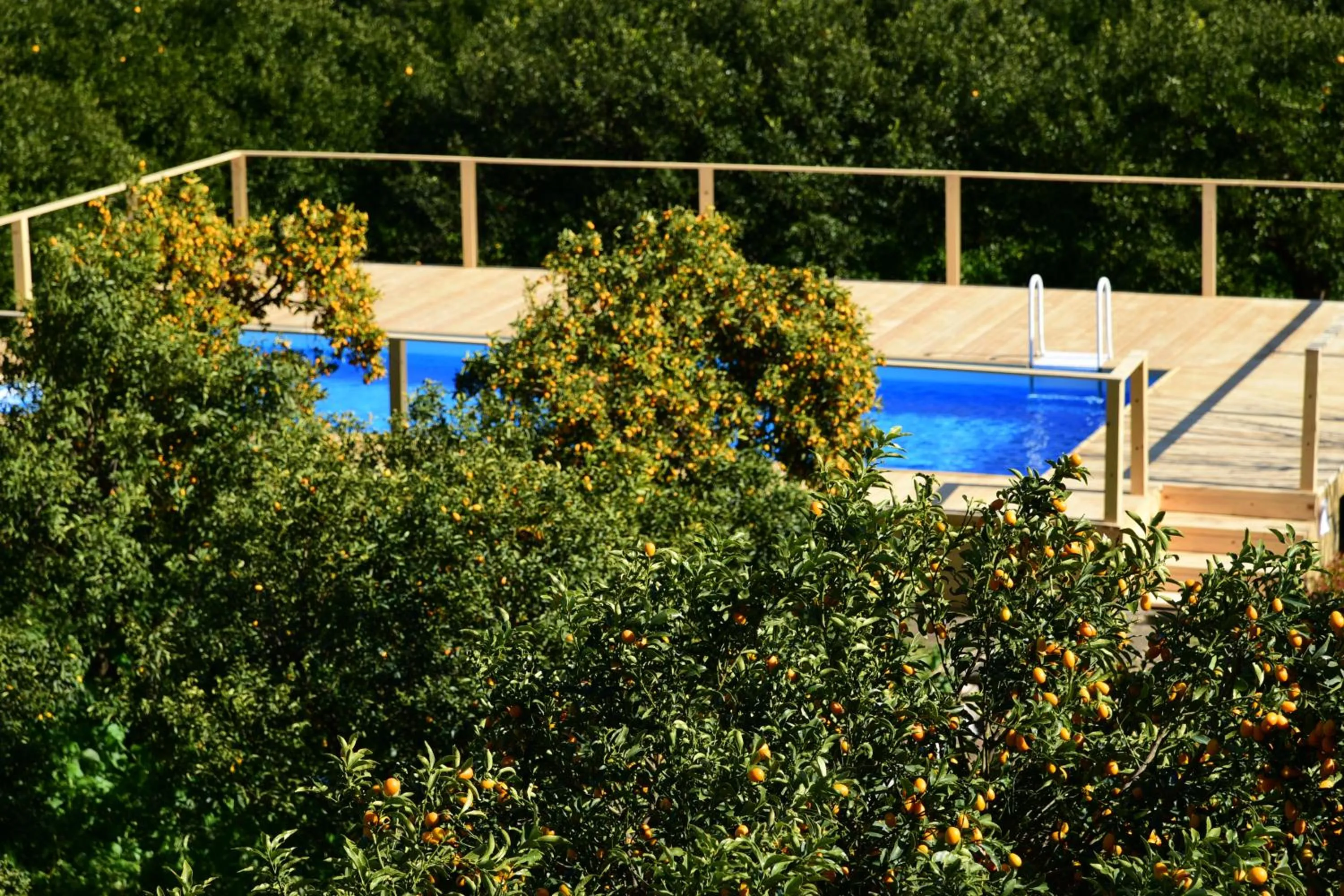 Pool view in Giardino Arancio