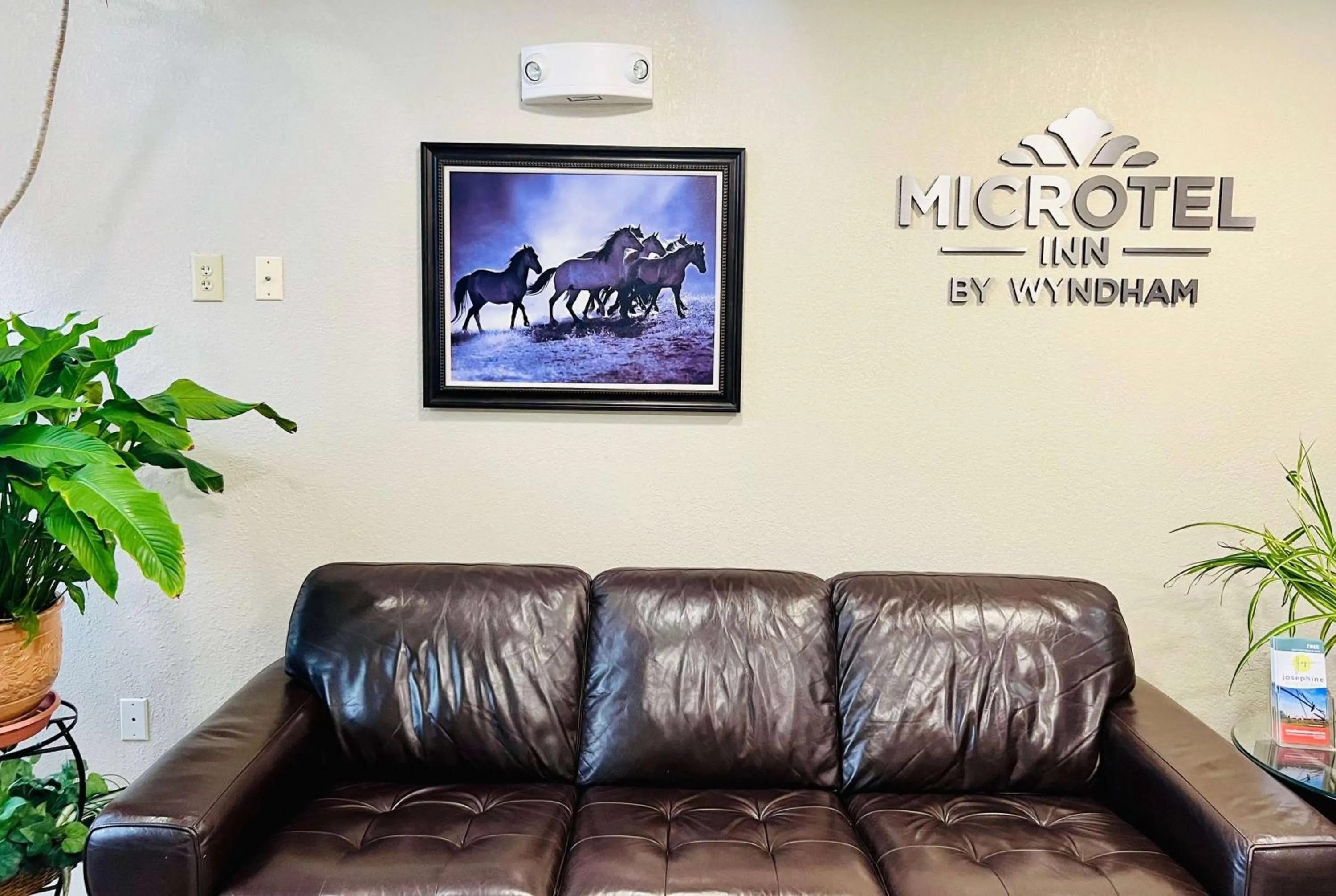 Lobby or reception in Microtel Inn Georgetown - Lexington North